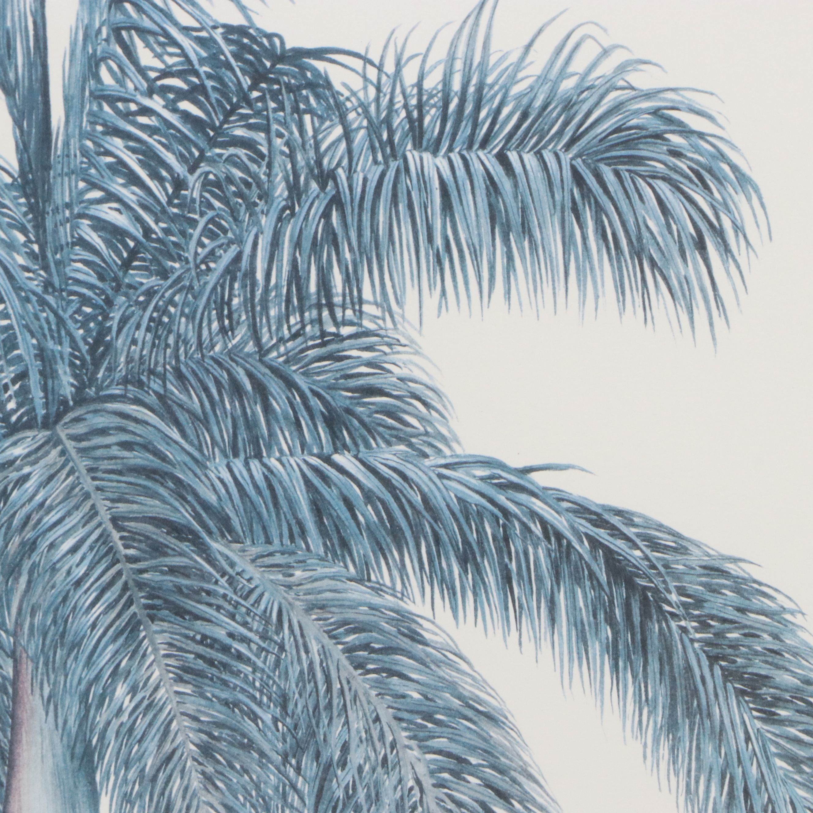 Diane Peebles Offset Lithograph "Cuban Royal Palm"