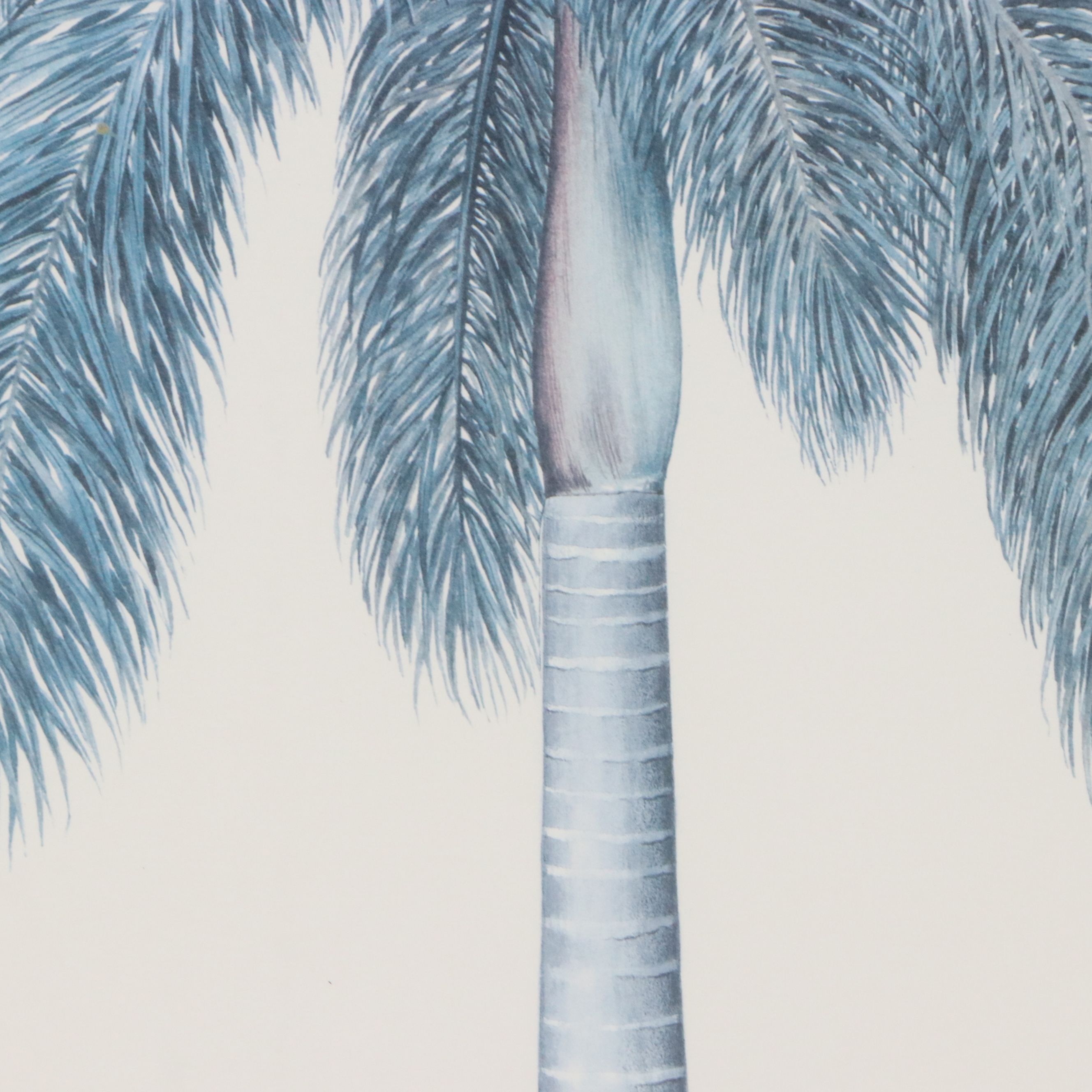 Diane Peebles Offset Lithograph "Cuban Royal Palm"