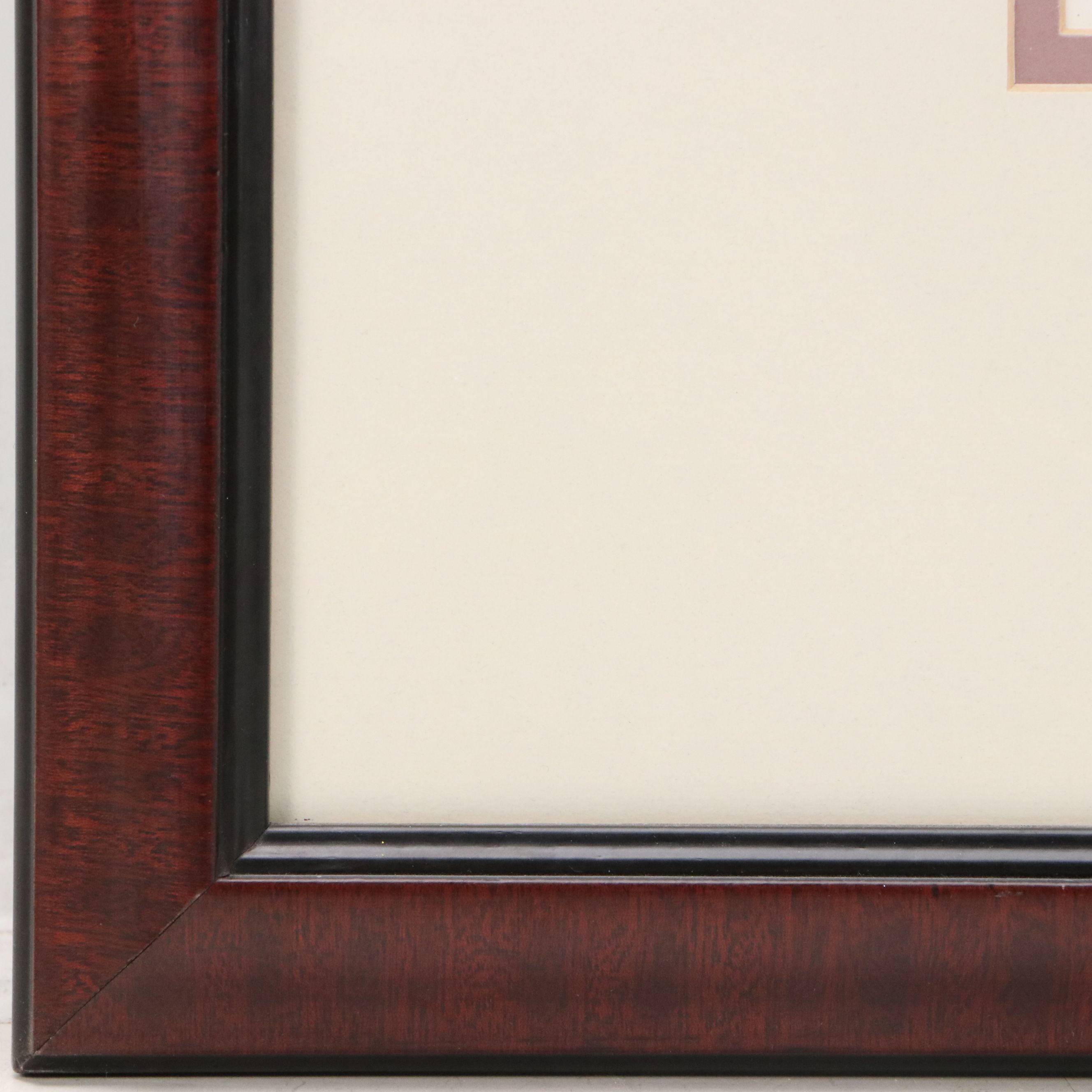 Diane Peebles Offset Lithograph "Cuban Royal Palm"