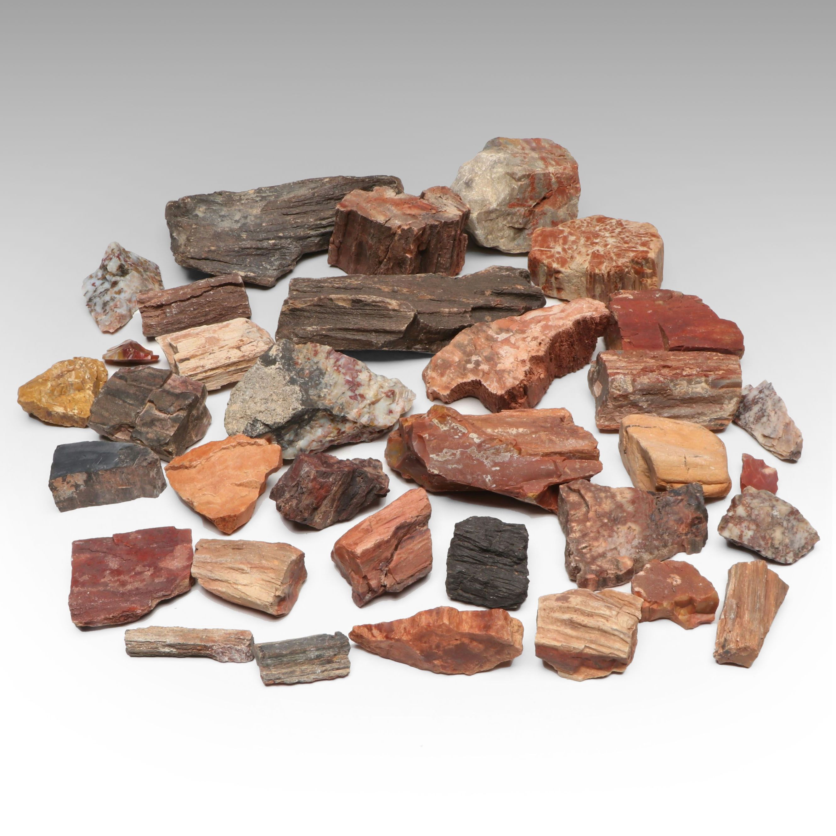 Collection of Petrified Wood and Agate Rocks