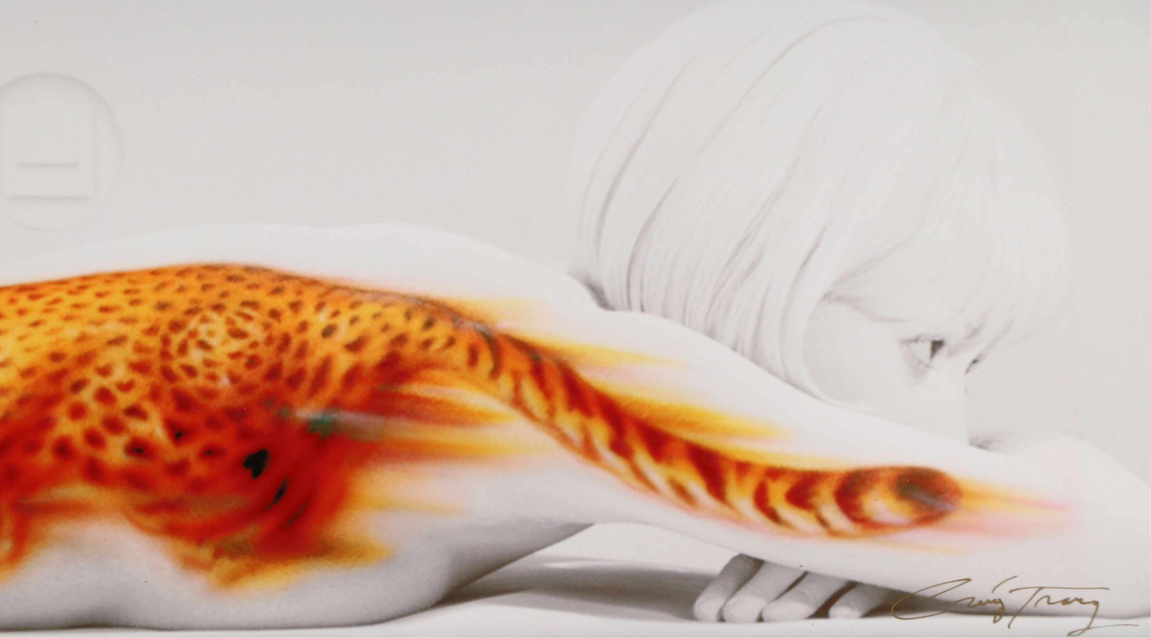 Craig Tracy Digital Print "Speed"