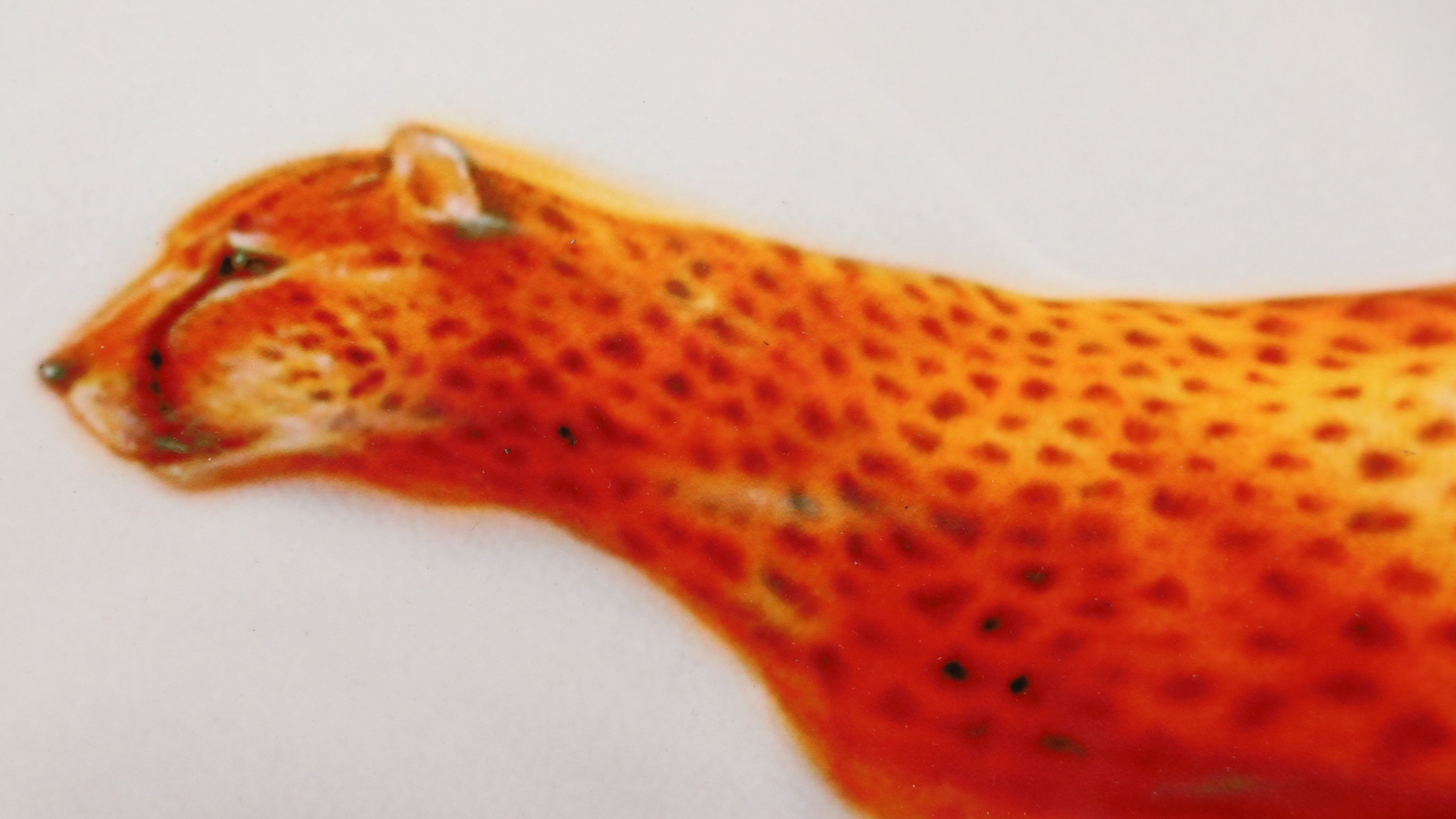 Craig Tracy Digital Print "Speed"