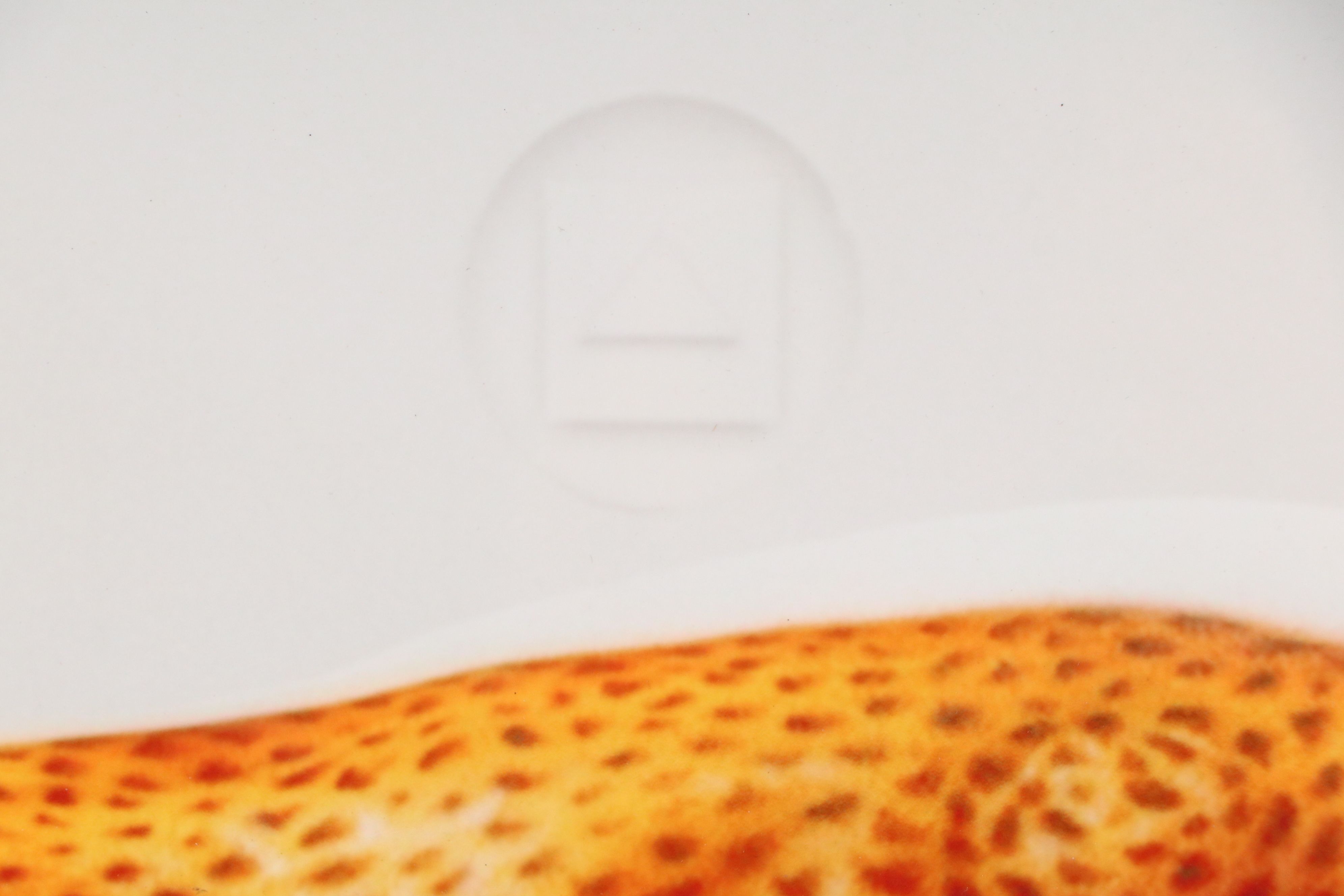 Craig Tracy Digital Print "Speed"