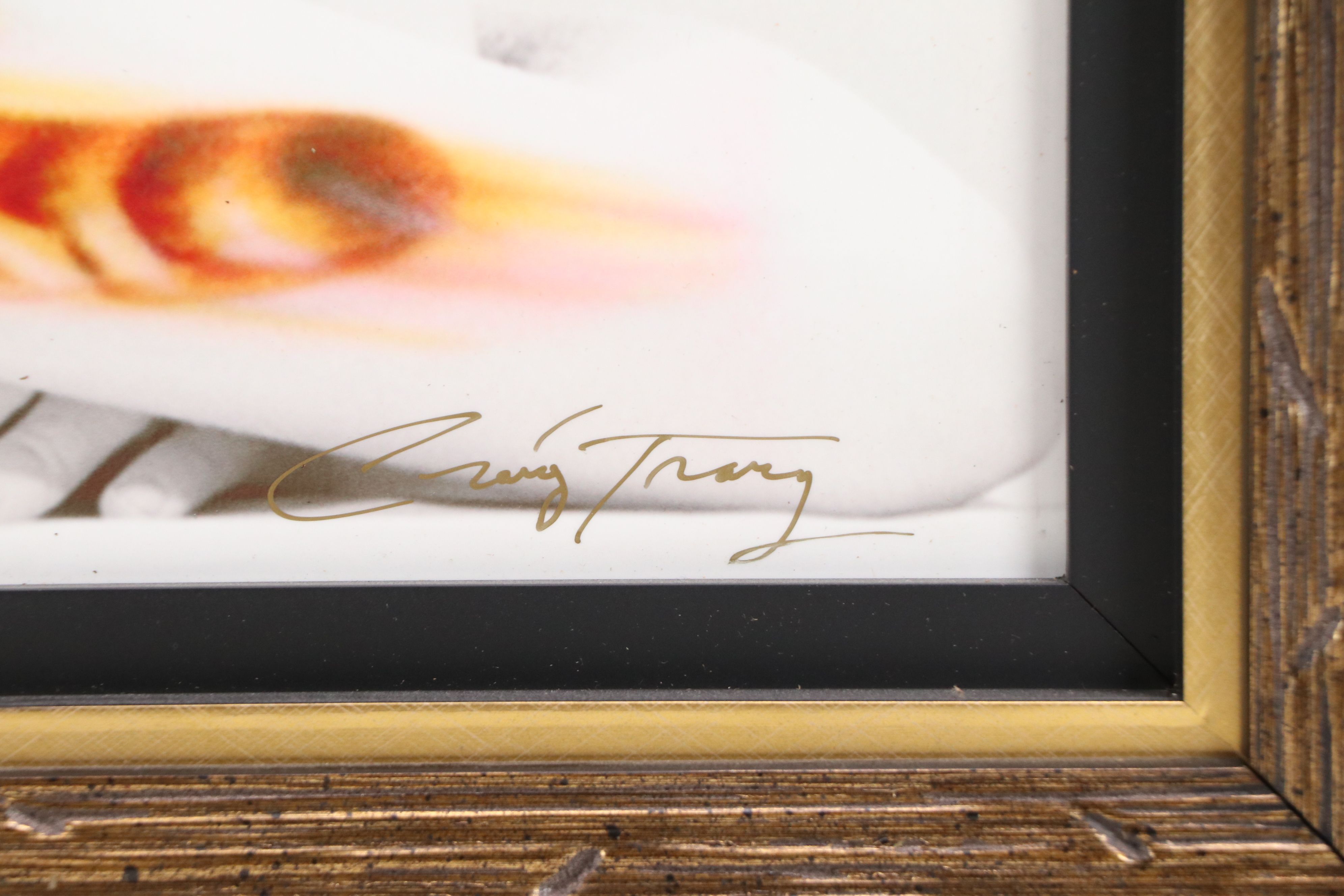 Craig Tracy Digital Print "Speed"