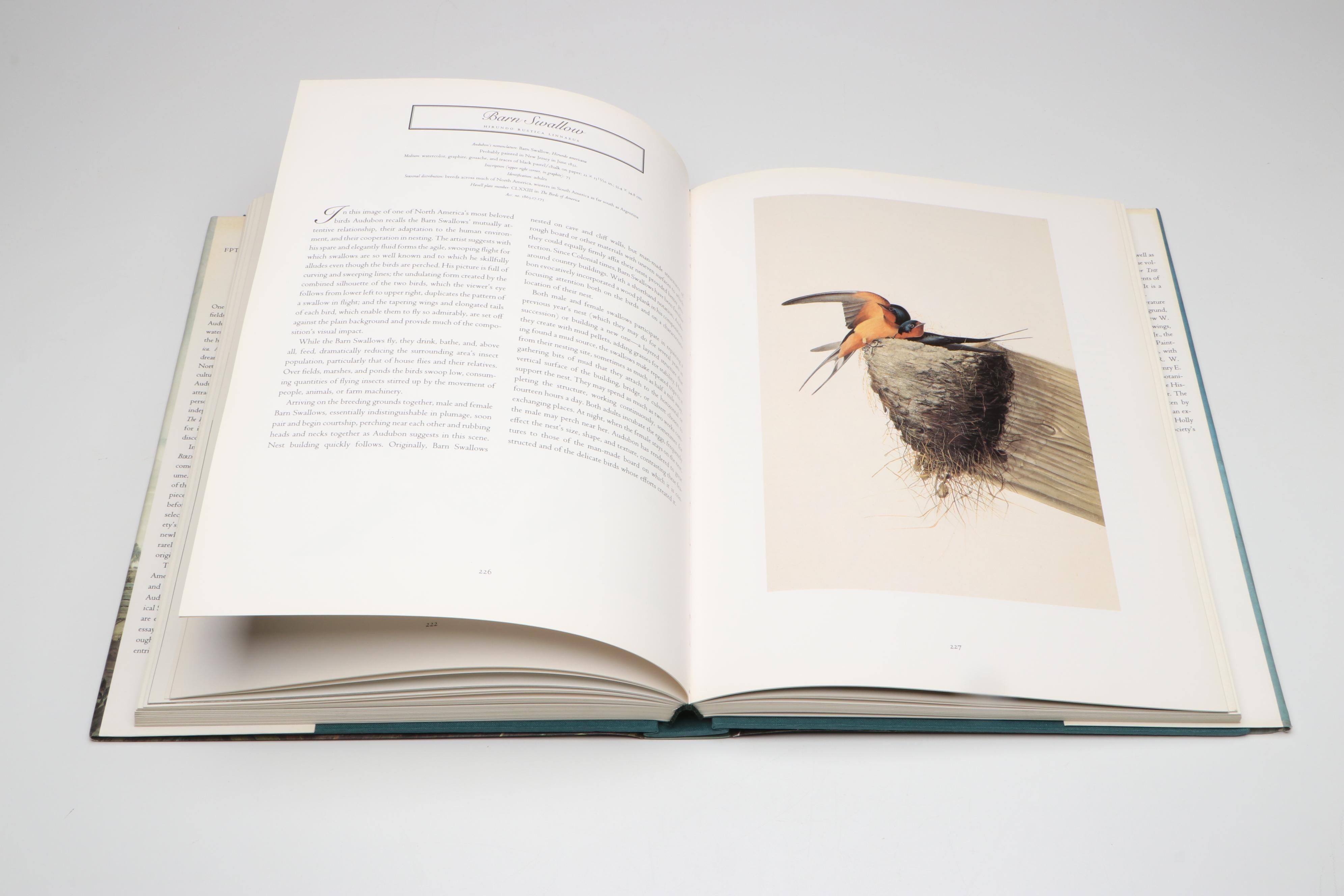 First Printing "John James Audubon: Watercolors for The Birds of America," 1993