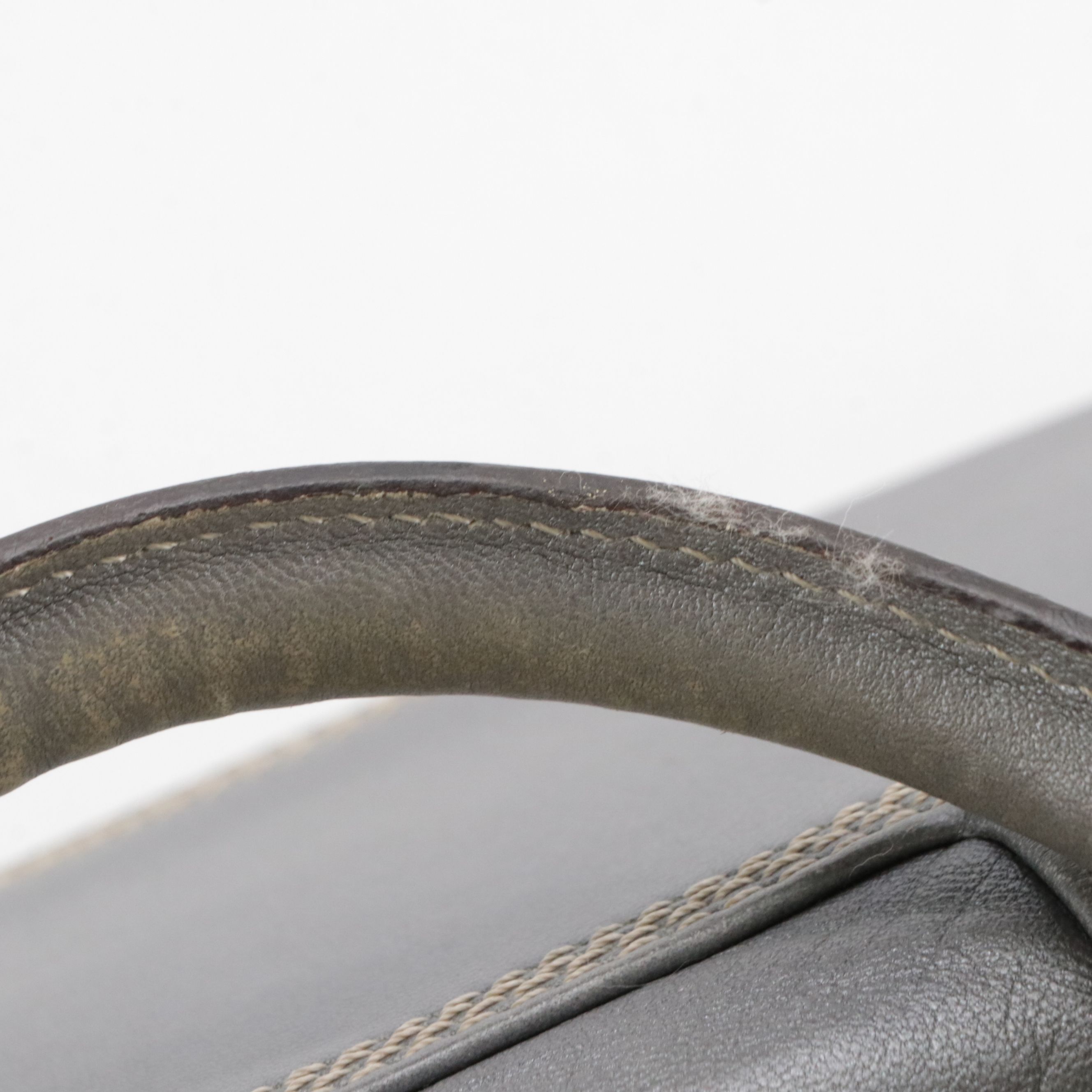 Loewe Amazona 28 Handbag in Silver Metallic Leather