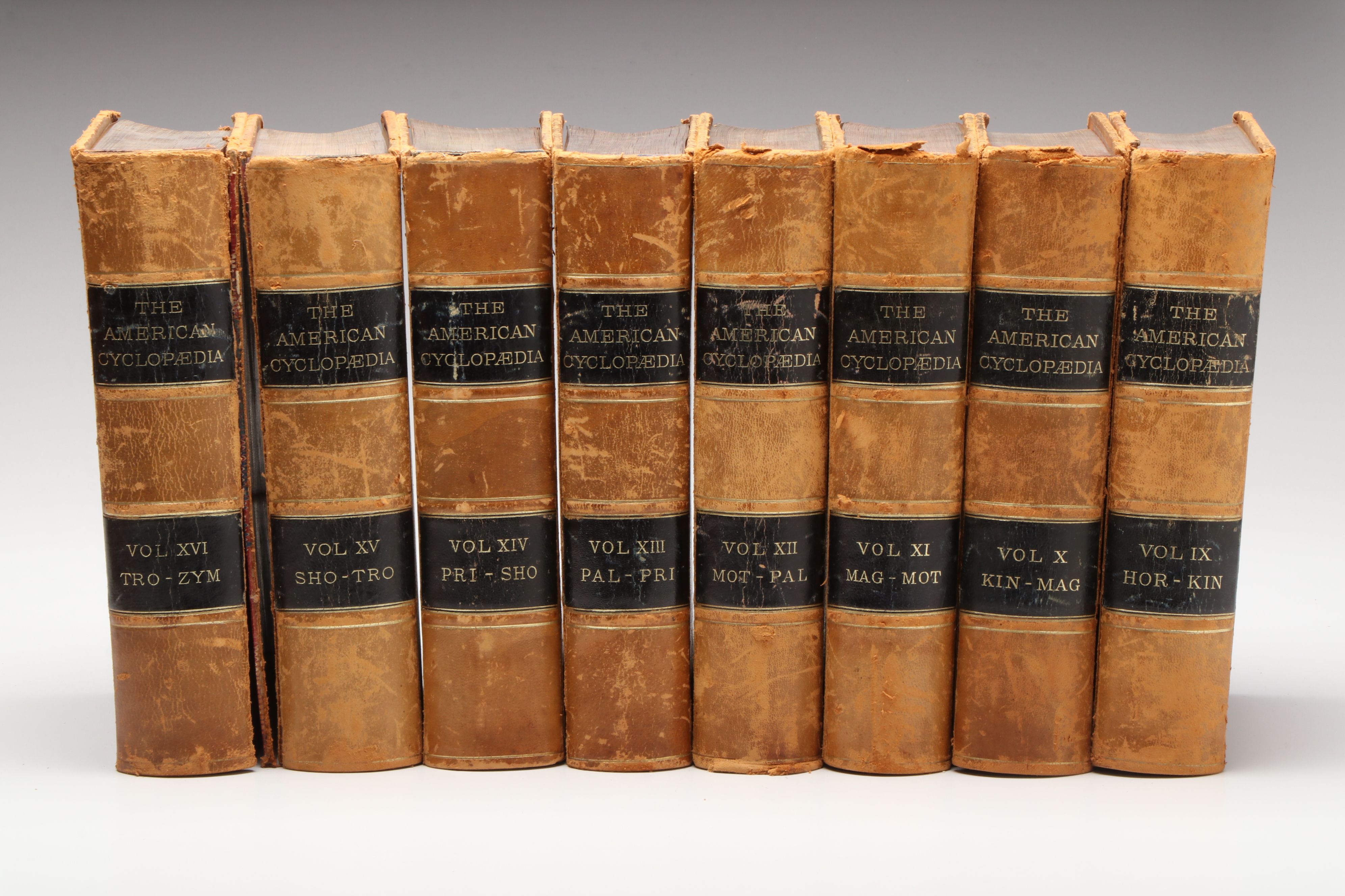"The American Cyclopaedia" Leather Bound Full Set, 1874