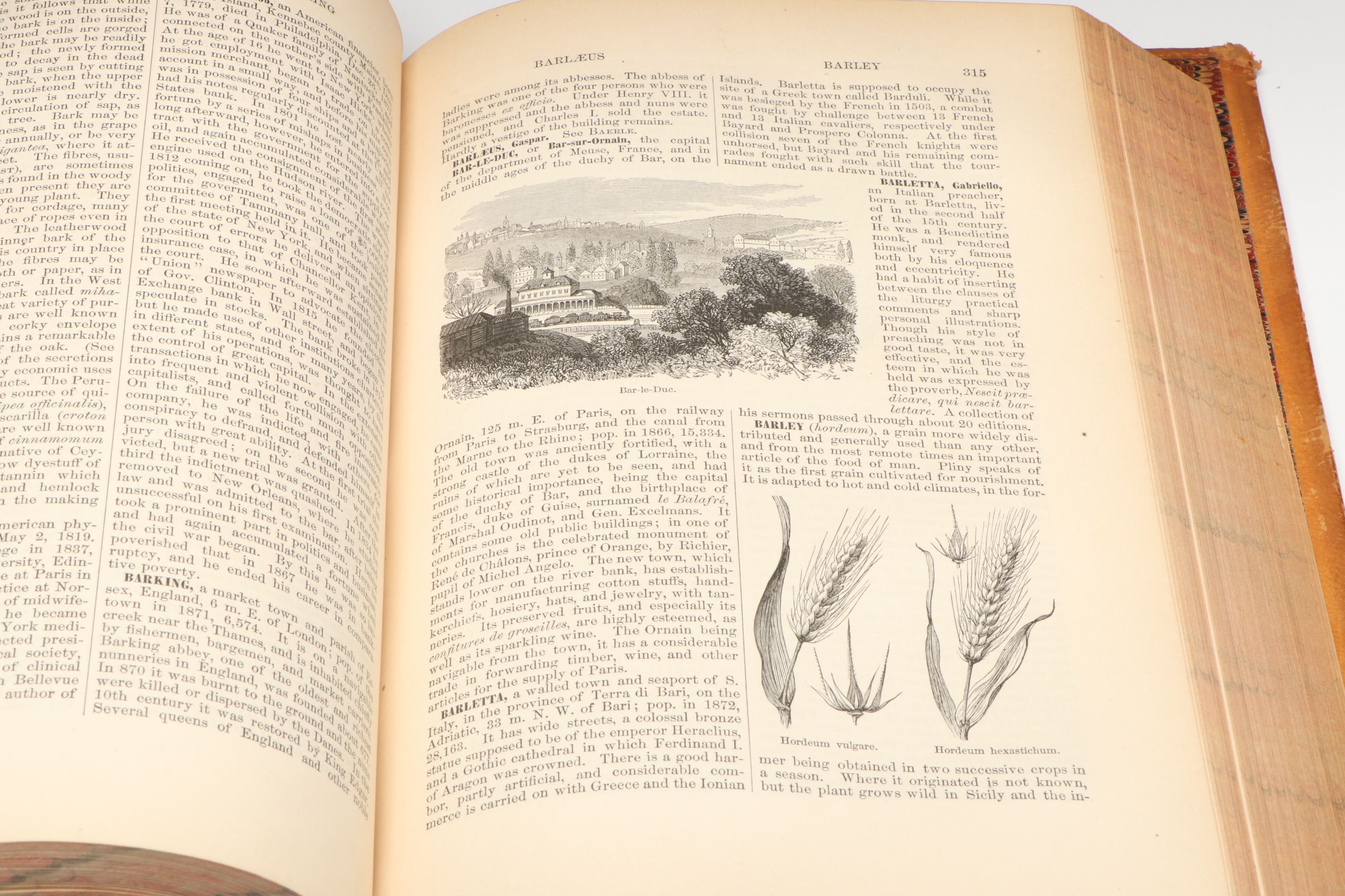 "The American Cyclopaedia" Leather Bound Full Set, 1874