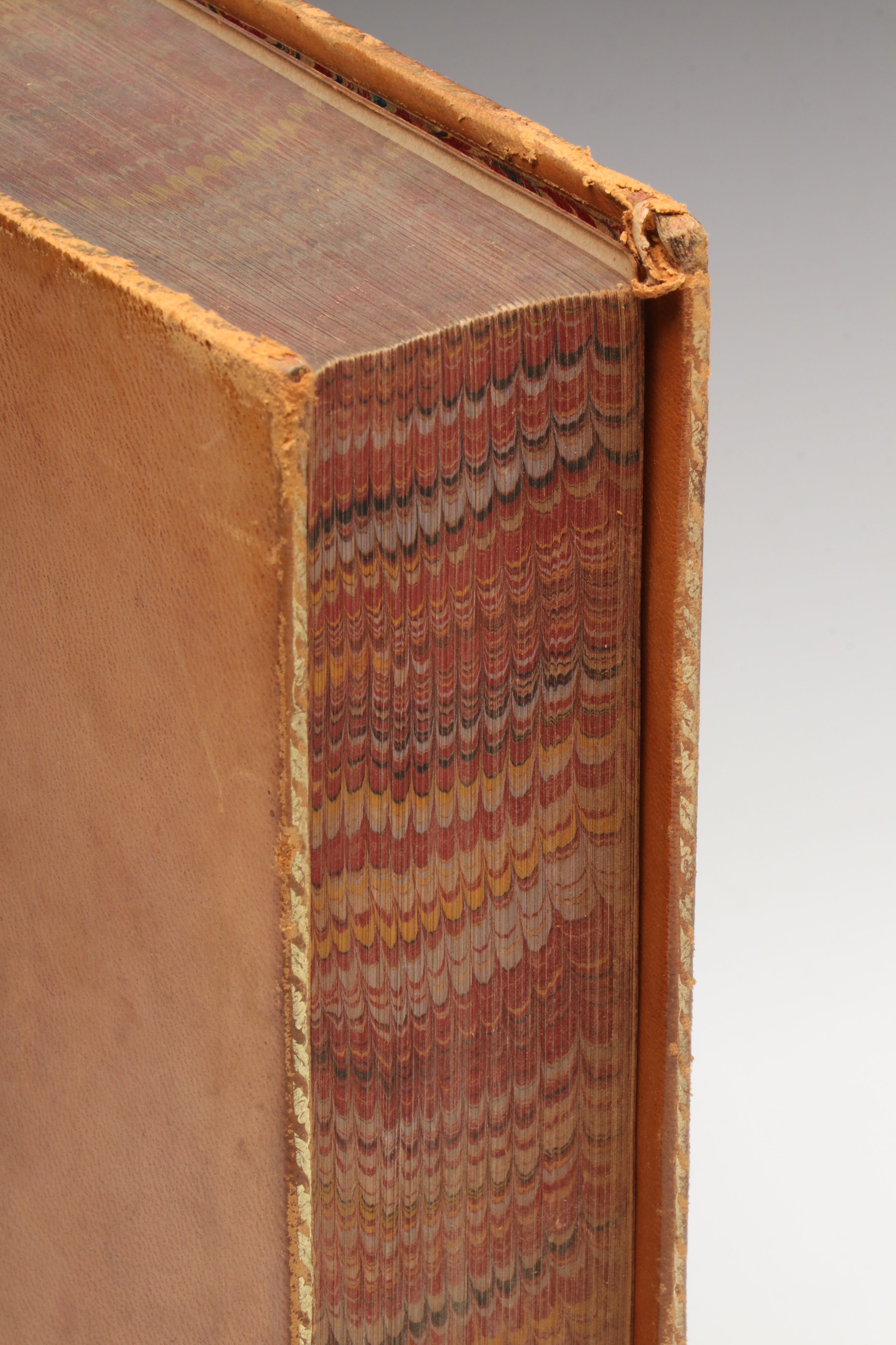 "The American Cyclopaedia" Leather Bound Full Set, 1874