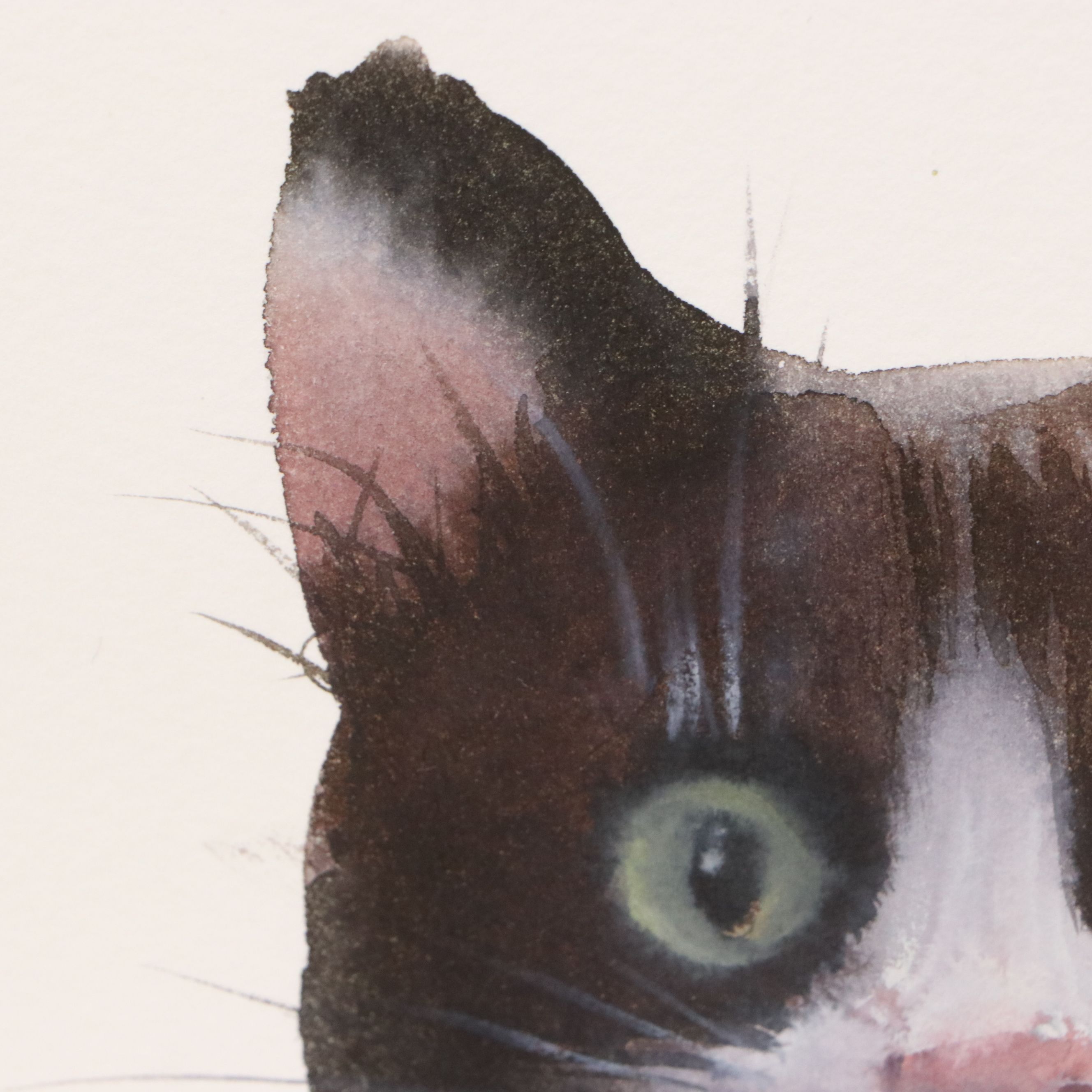 Inga Kovalenko Watercolor Painting of Cat, 2026
