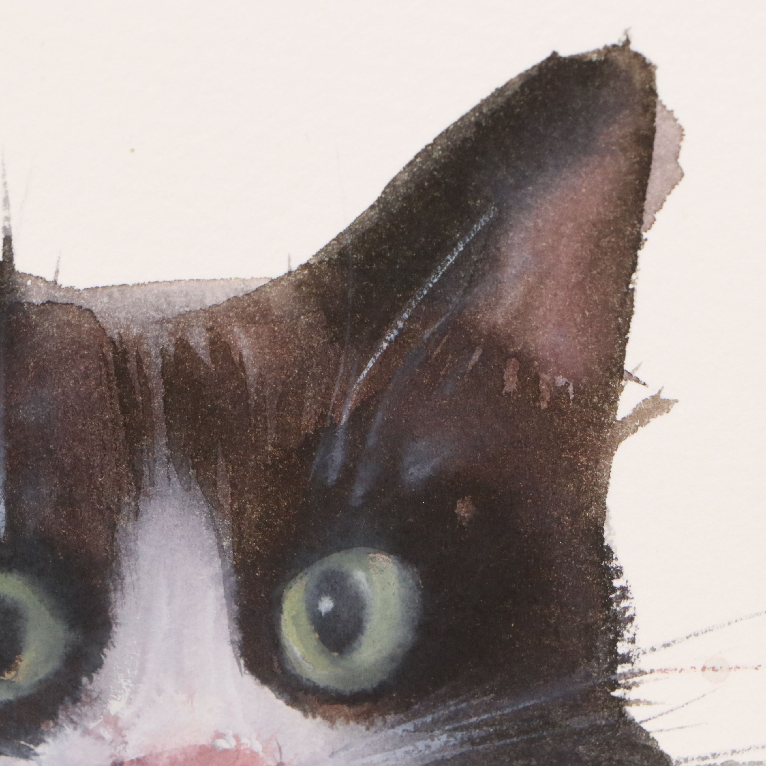 Inga Kovalenko Watercolor Painting of Cat, 2026