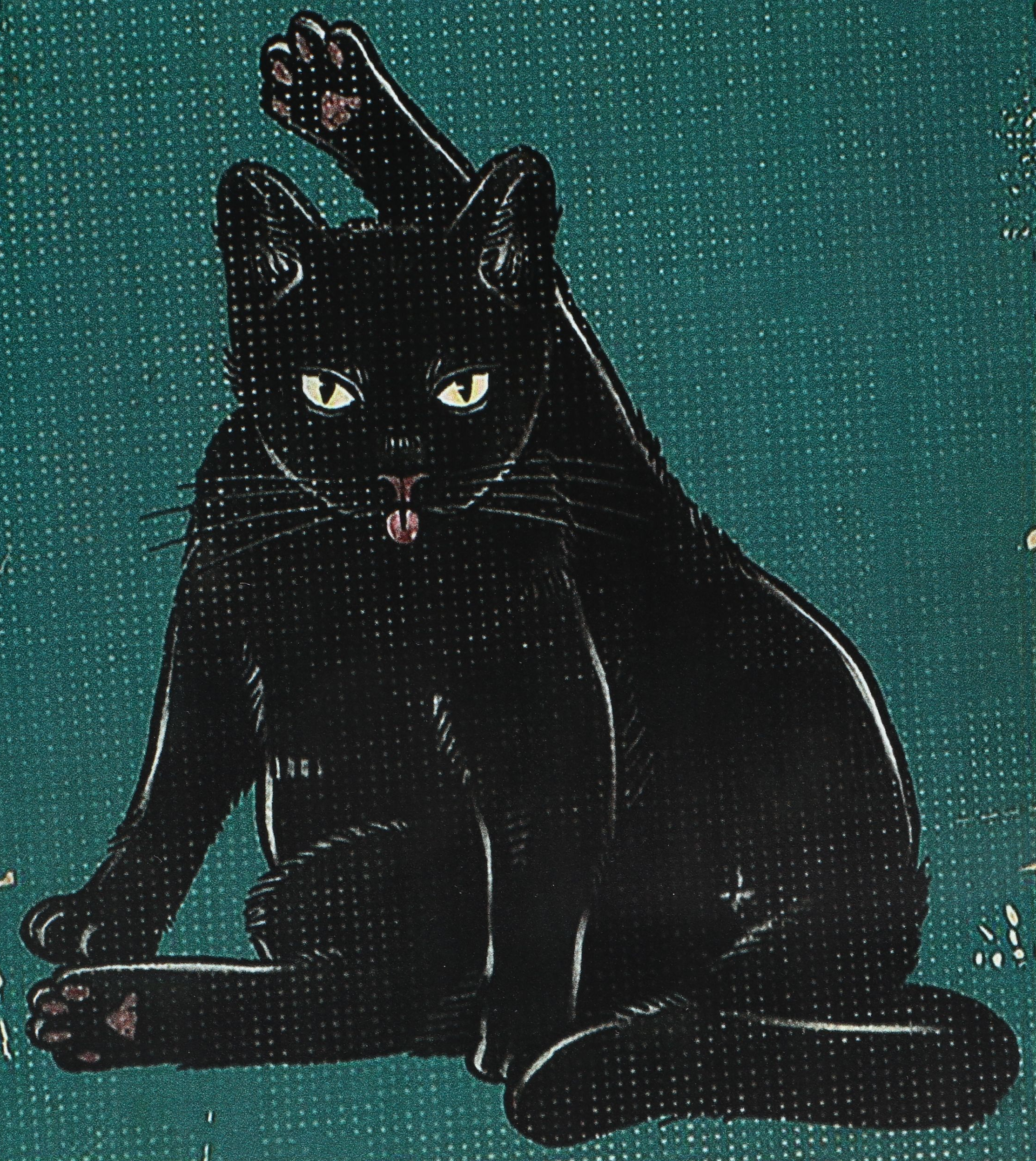 Giclée of Cheeky Black Cat "Remember to Wipe"