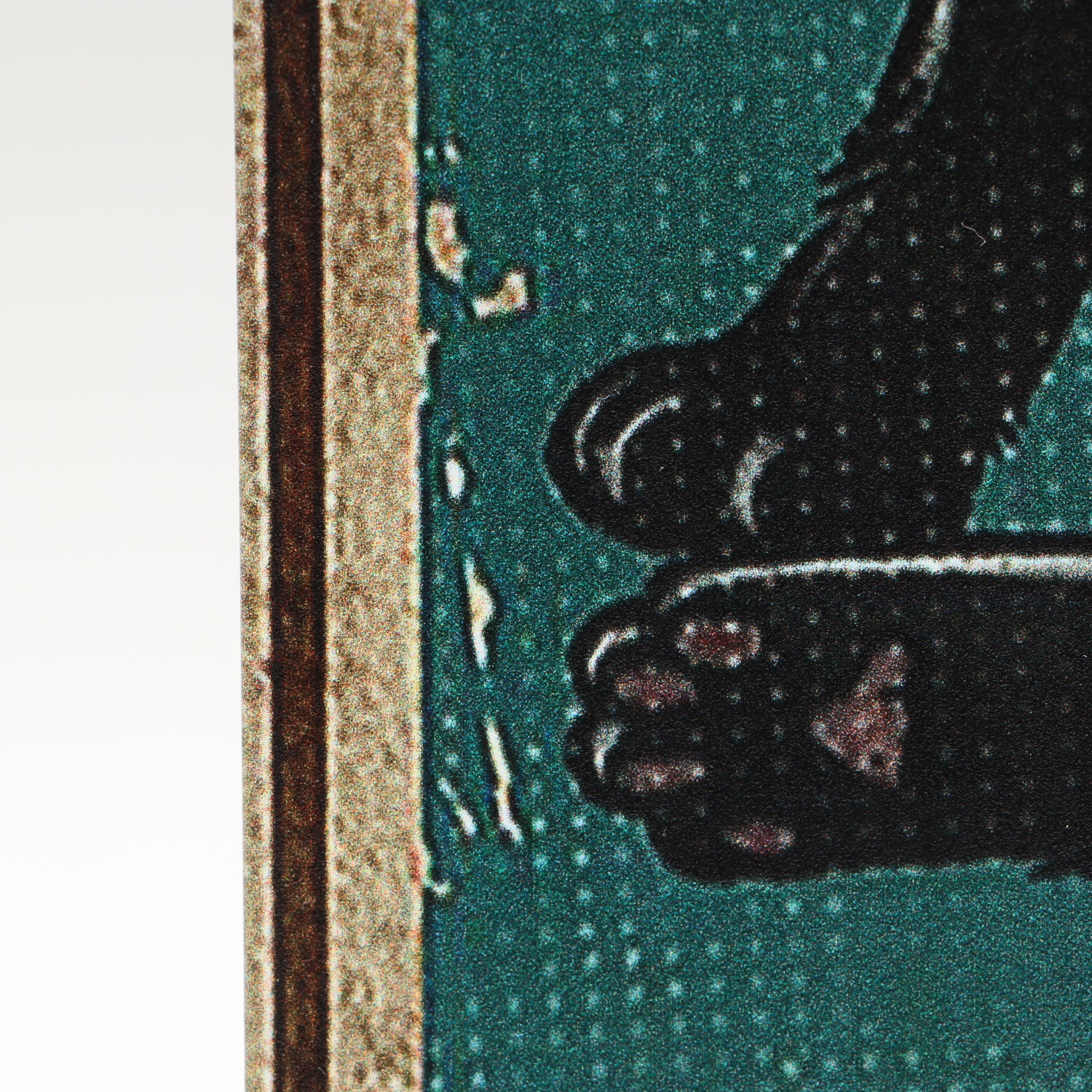 Giclée of Cheeky Black Cat "Remember to Wipe"