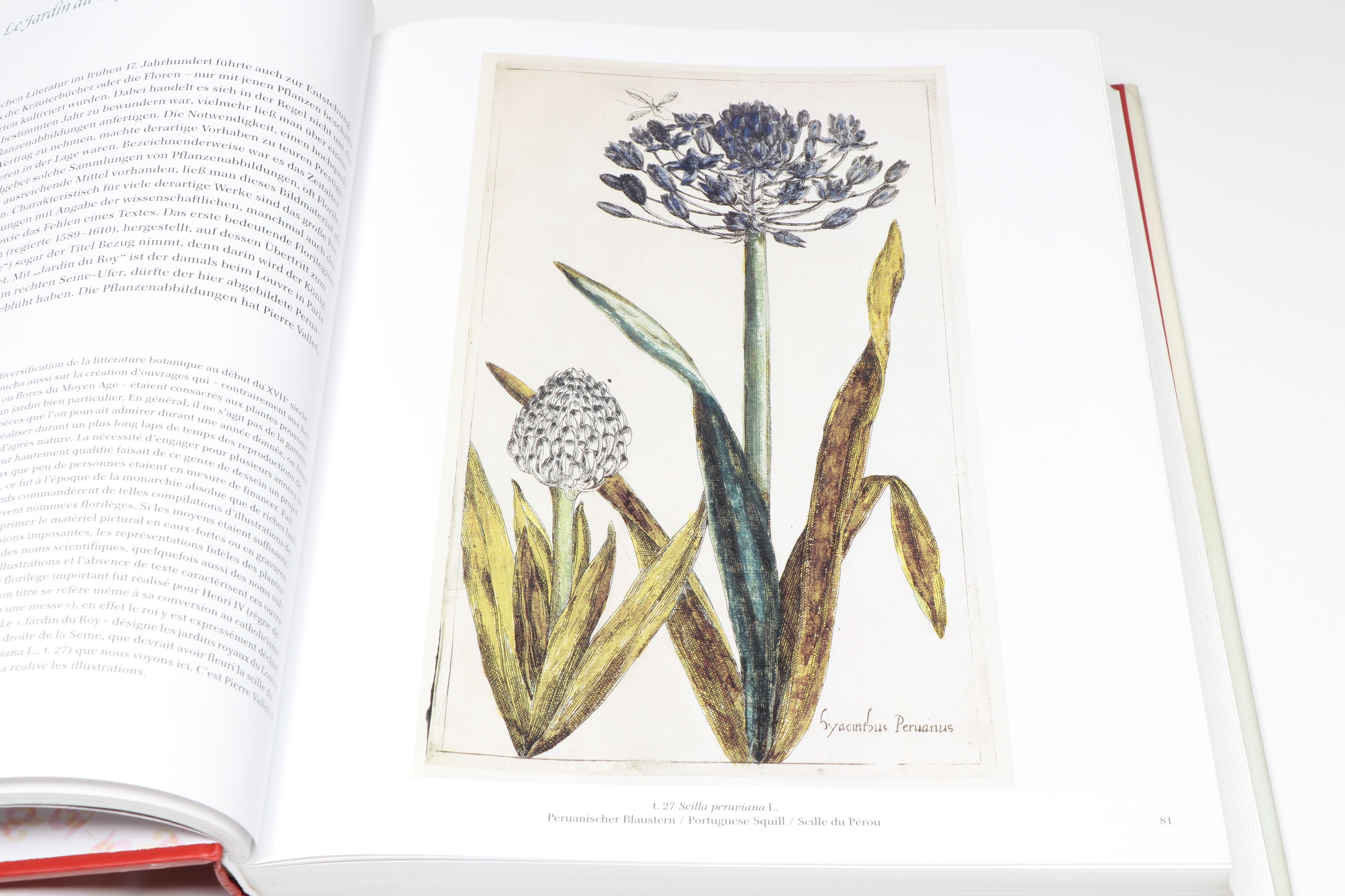 "Garden of Eden," "The Art of Flowers," and More Art and Flowers Books
