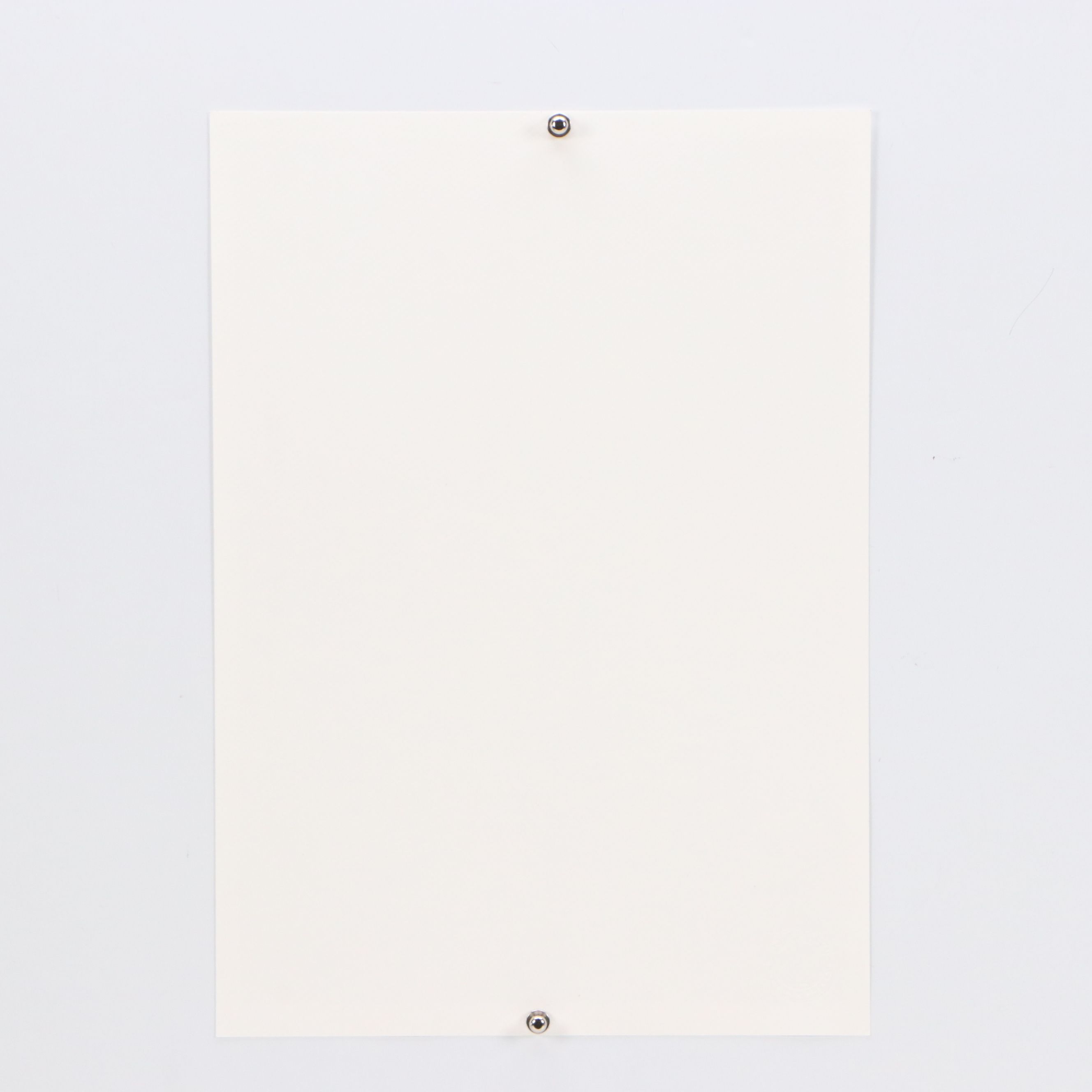 Death NYC Offset Lithograph Homage to Black Cat and Chanel, 2024