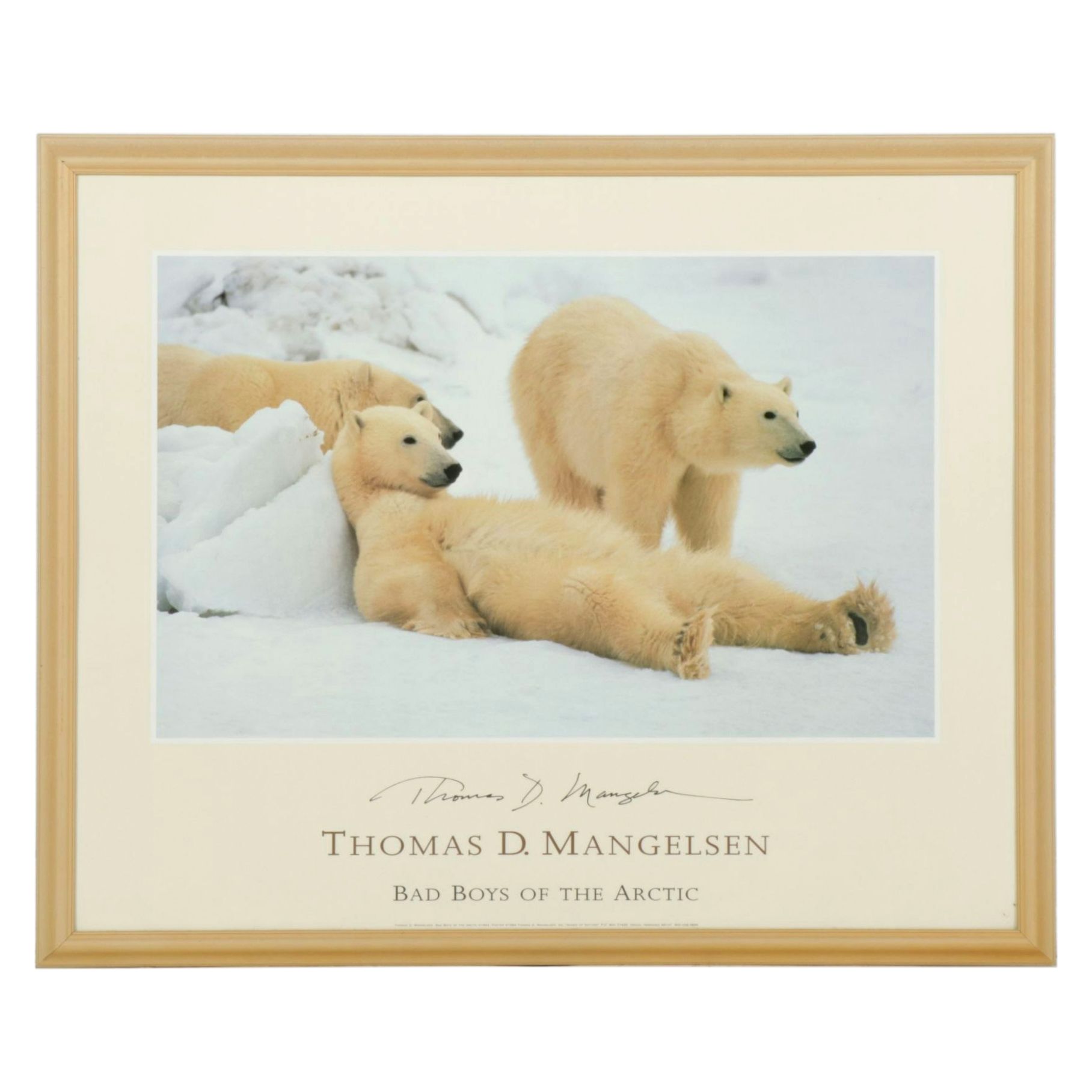 Offset Lithograph Poster After Thomas D Mangelsen "Bad Boys of the Arctic", 1994