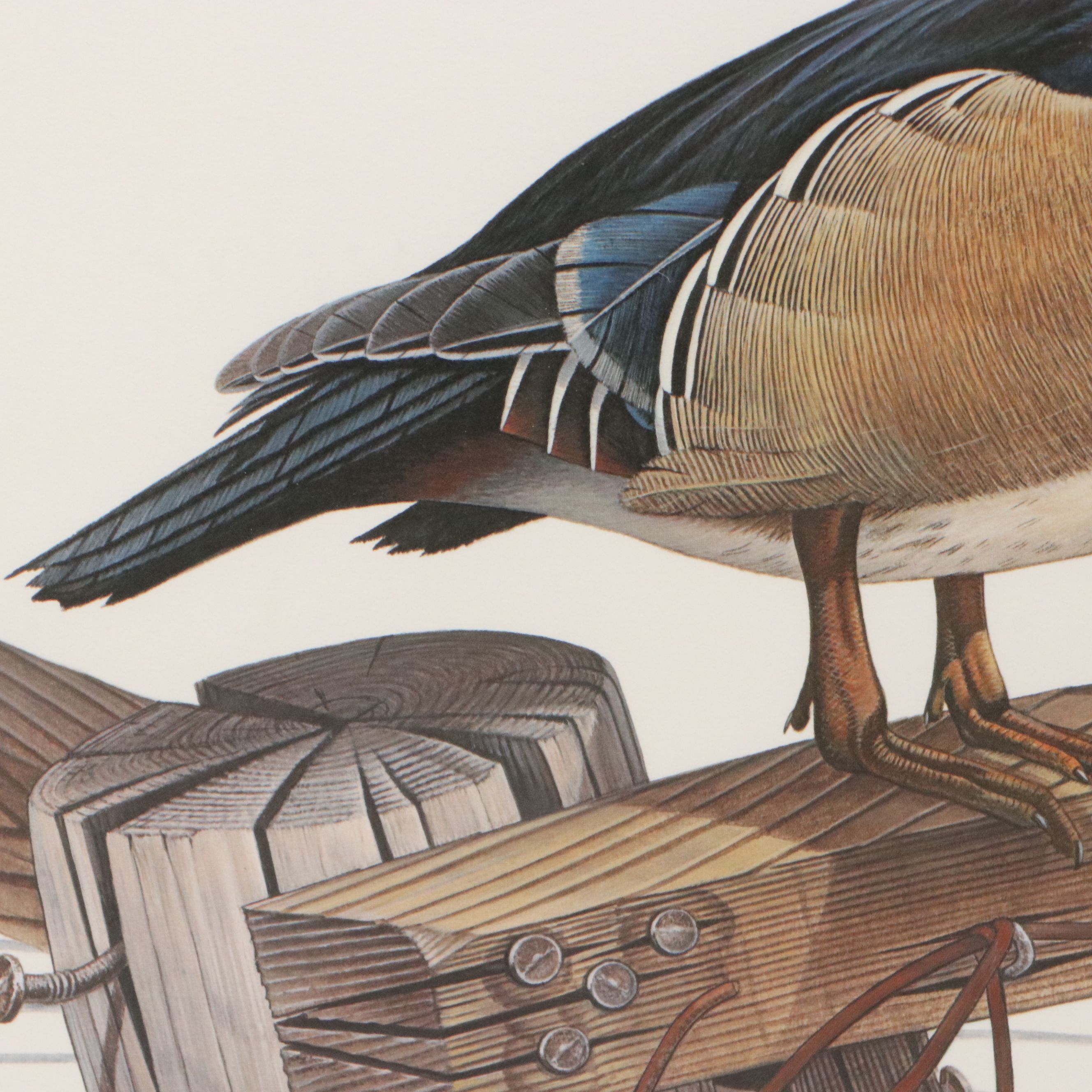 Richard Evans Younger Offset Lithograph "Wood Duck," 1977