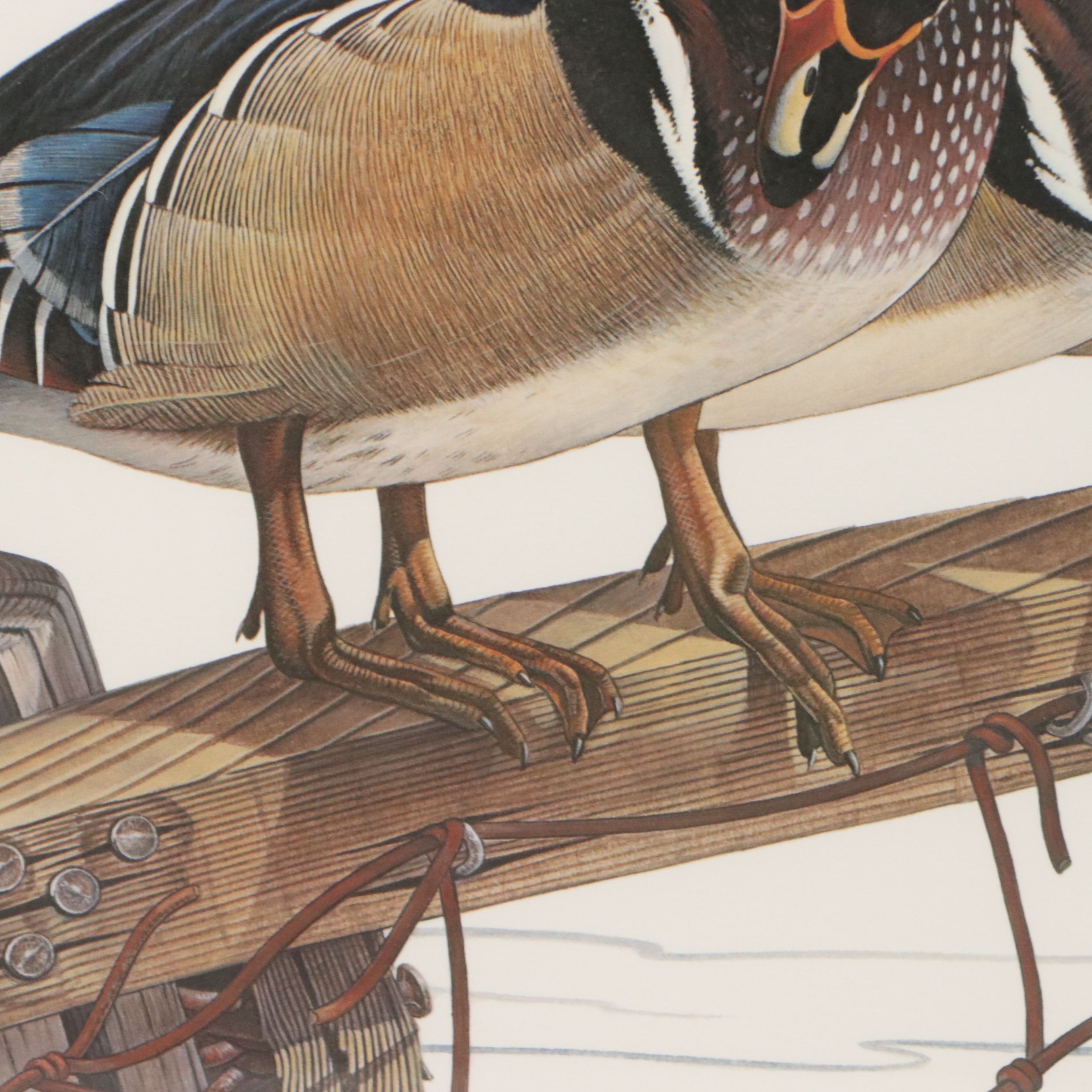 Richard Evans Younger Offset Lithograph "Wood Duck," 1977