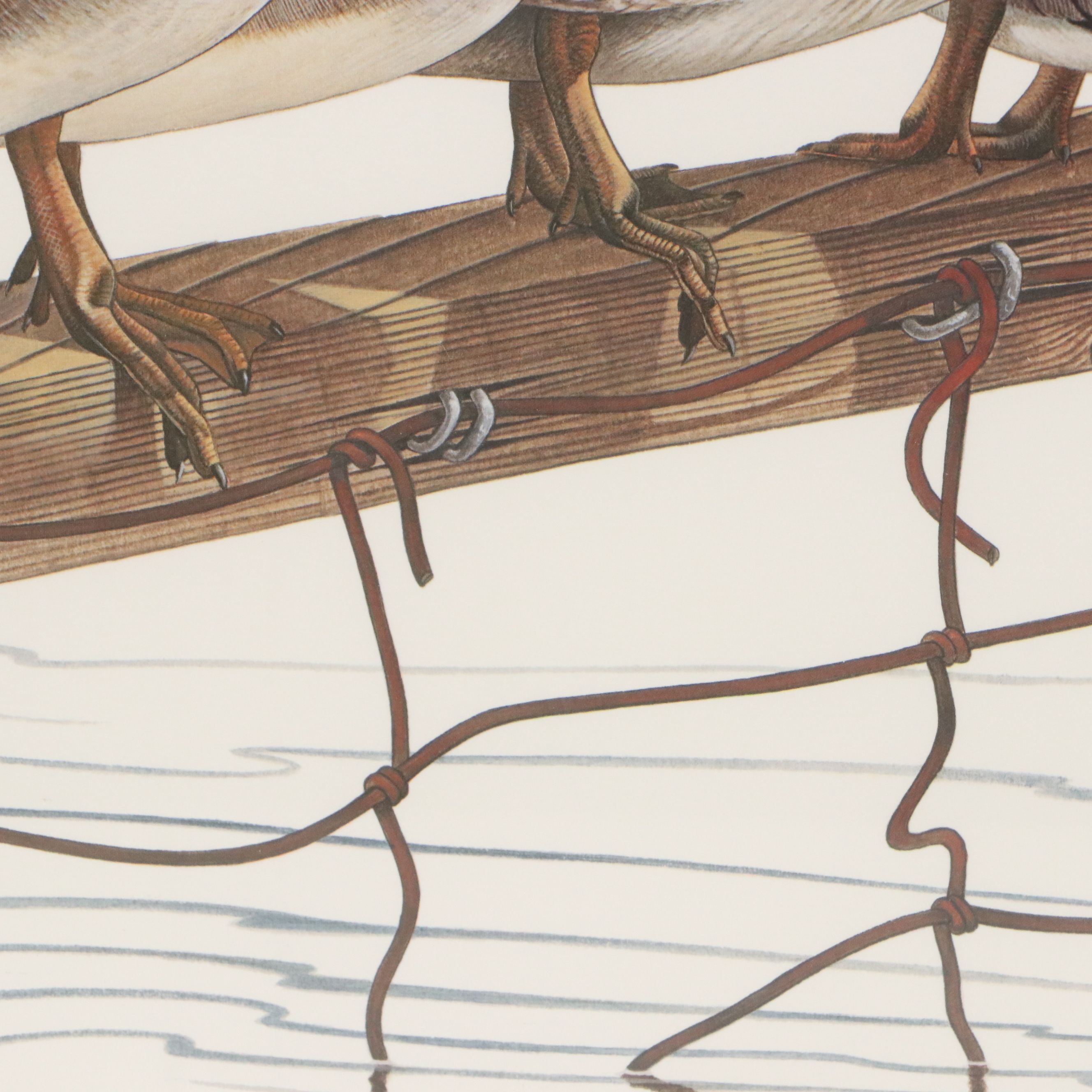 Richard Evans Younger Offset Lithograph "Wood Duck," 1977