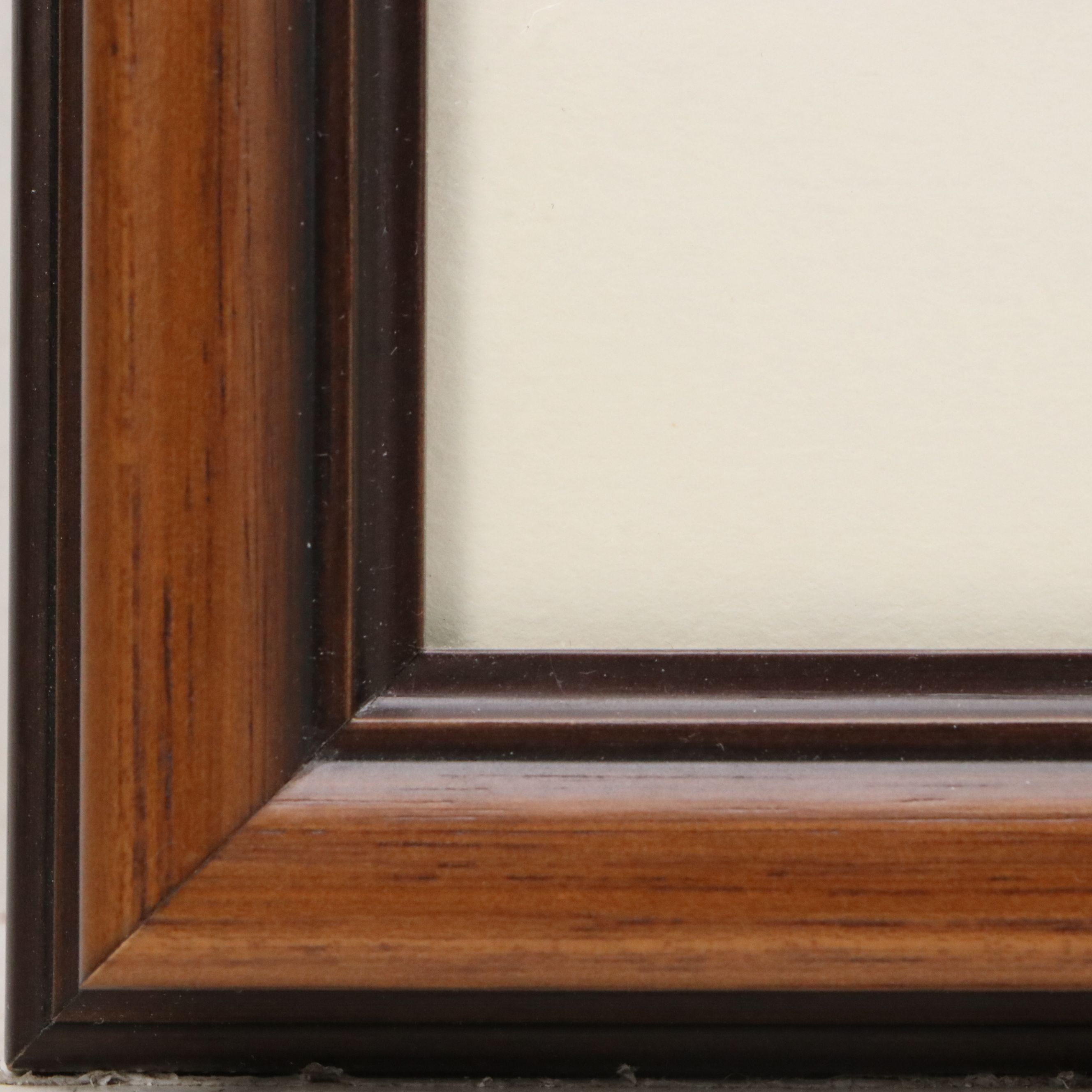 Richard Evans Younger Offset Lithograph "Wood Duck," 1977