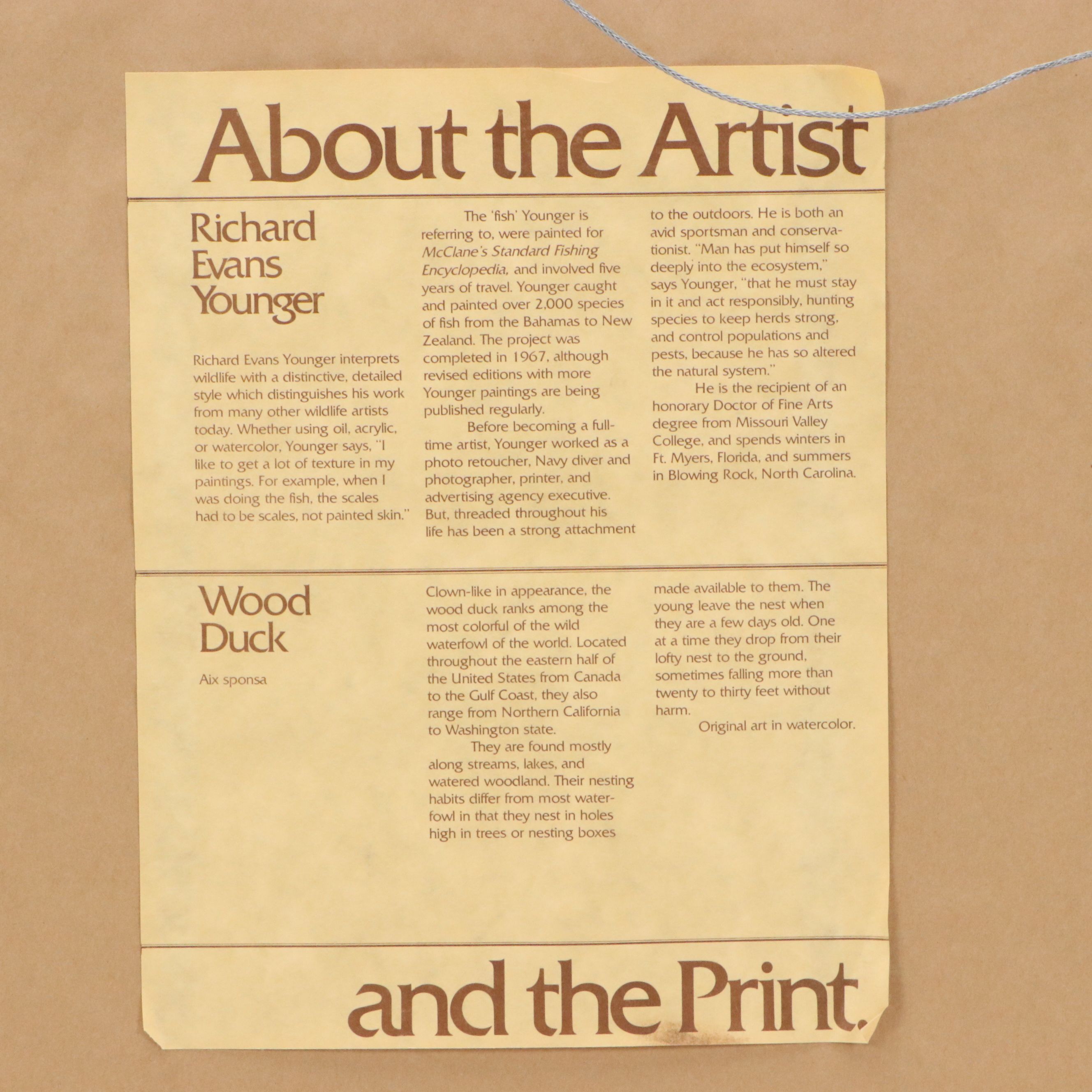 Richard Evans Younger Offset Lithograph "Wood Duck," 1977