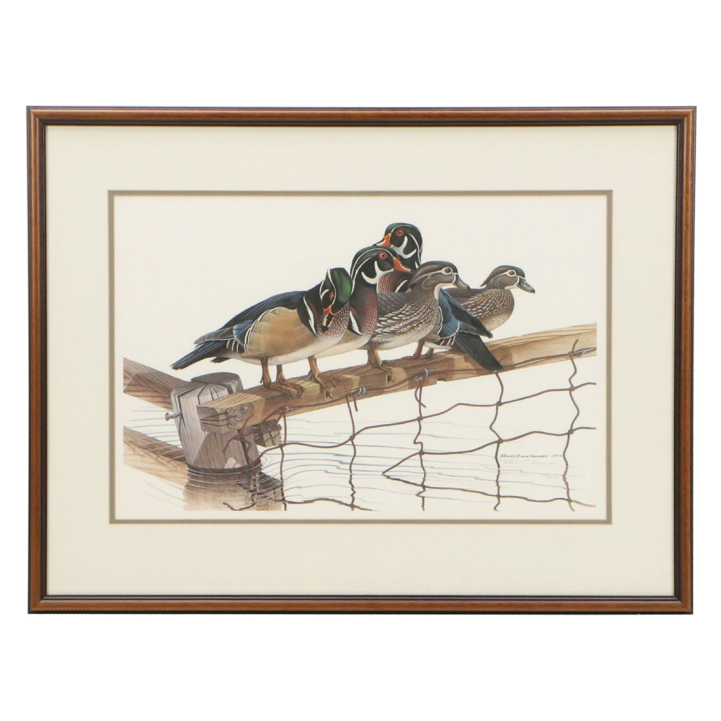 Richard Evans Younger Offset Lithograph "Wood Duck," 1977
