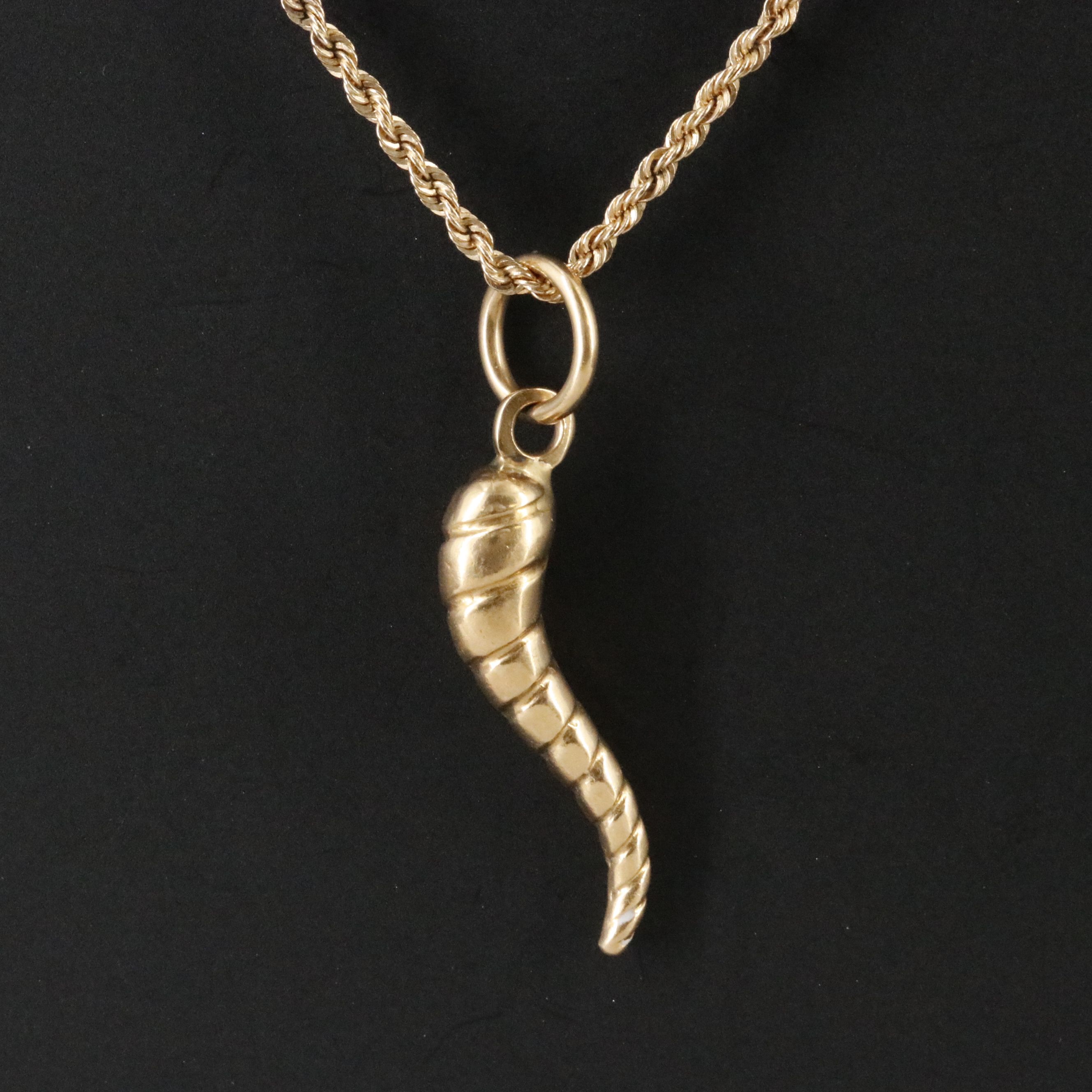 18K Cornicello Pendant on 14K Rope Chain Necklace