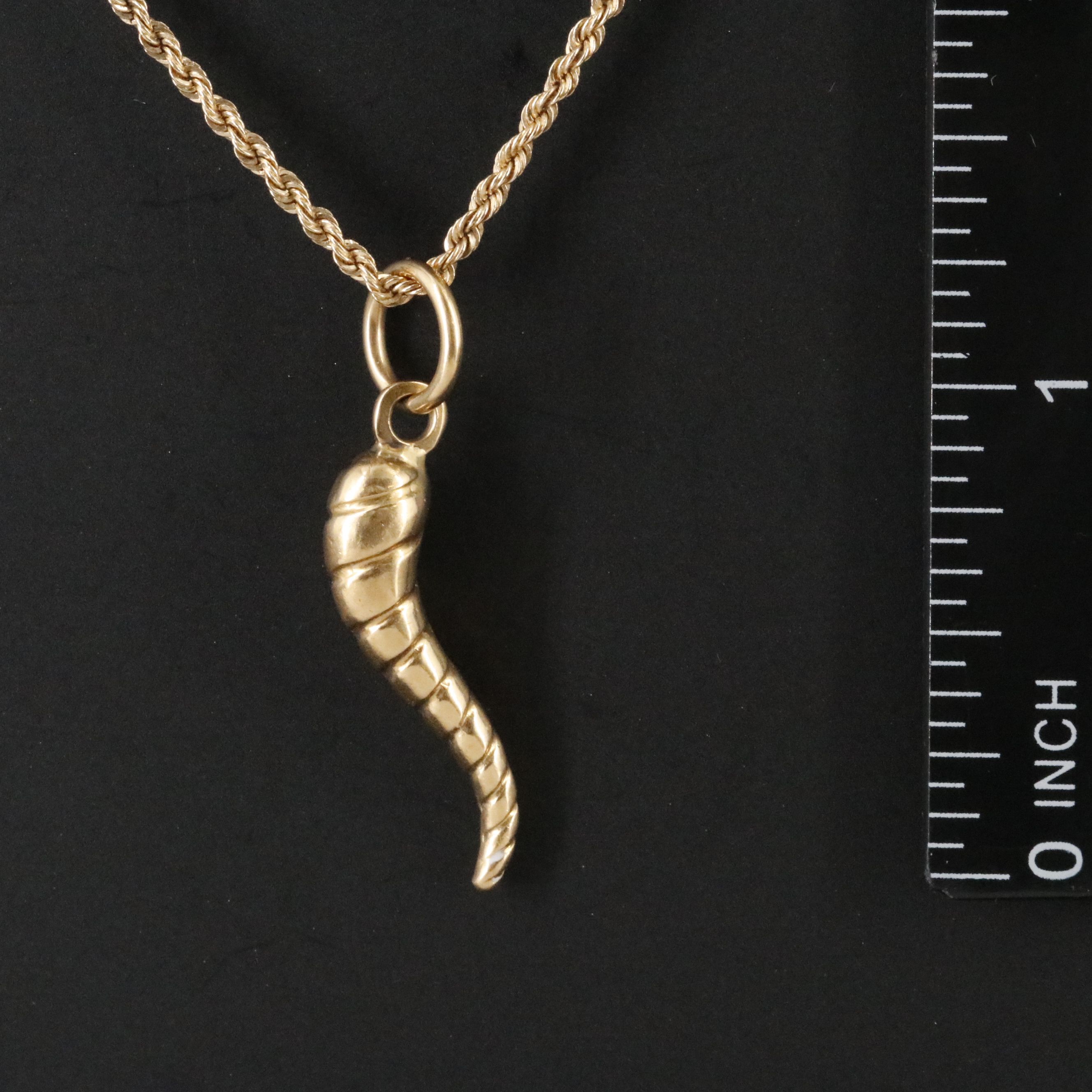 18K Cornicello Pendant on 14K Rope Chain Necklace