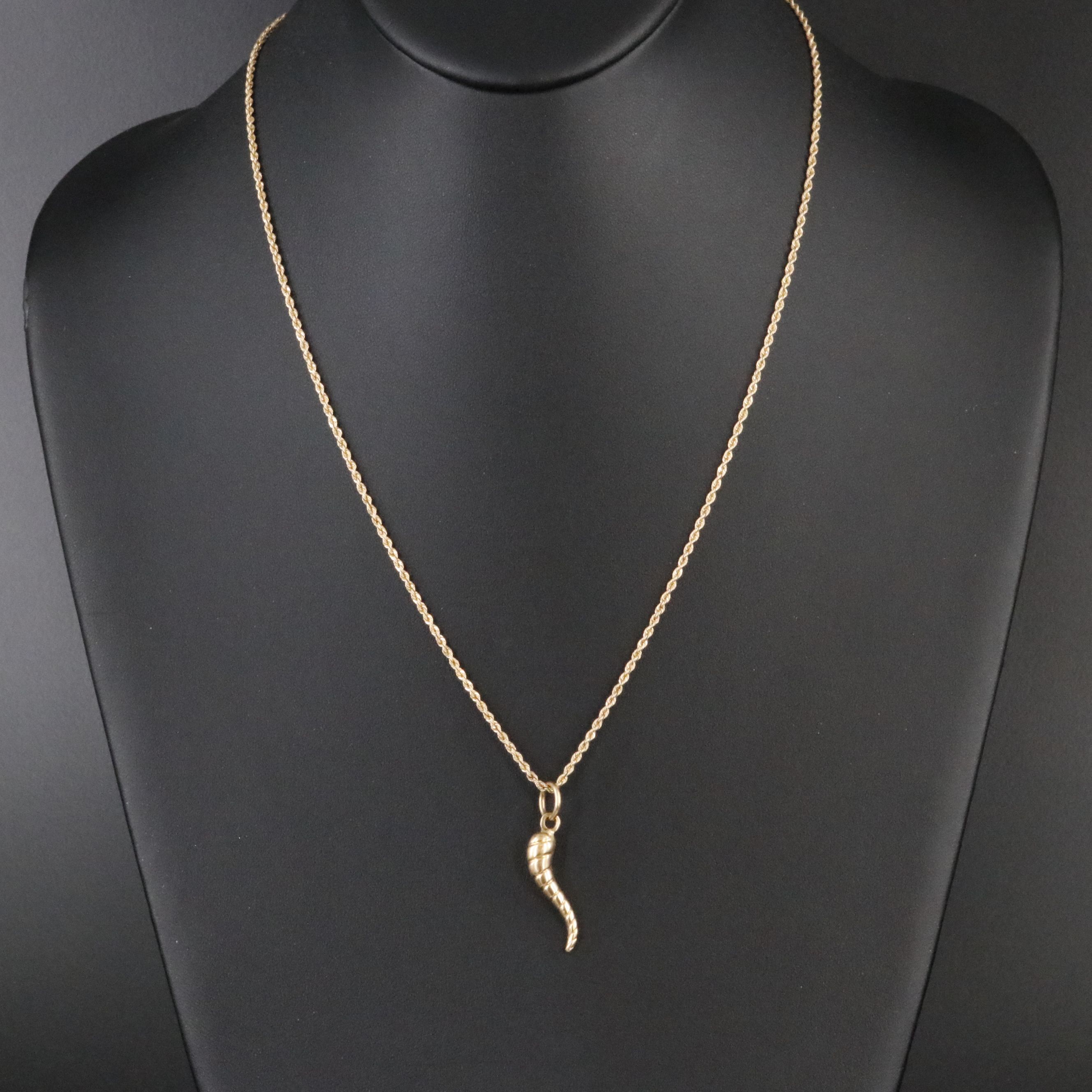 18K Cornicello Pendant on 14K Rope Chain Necklace