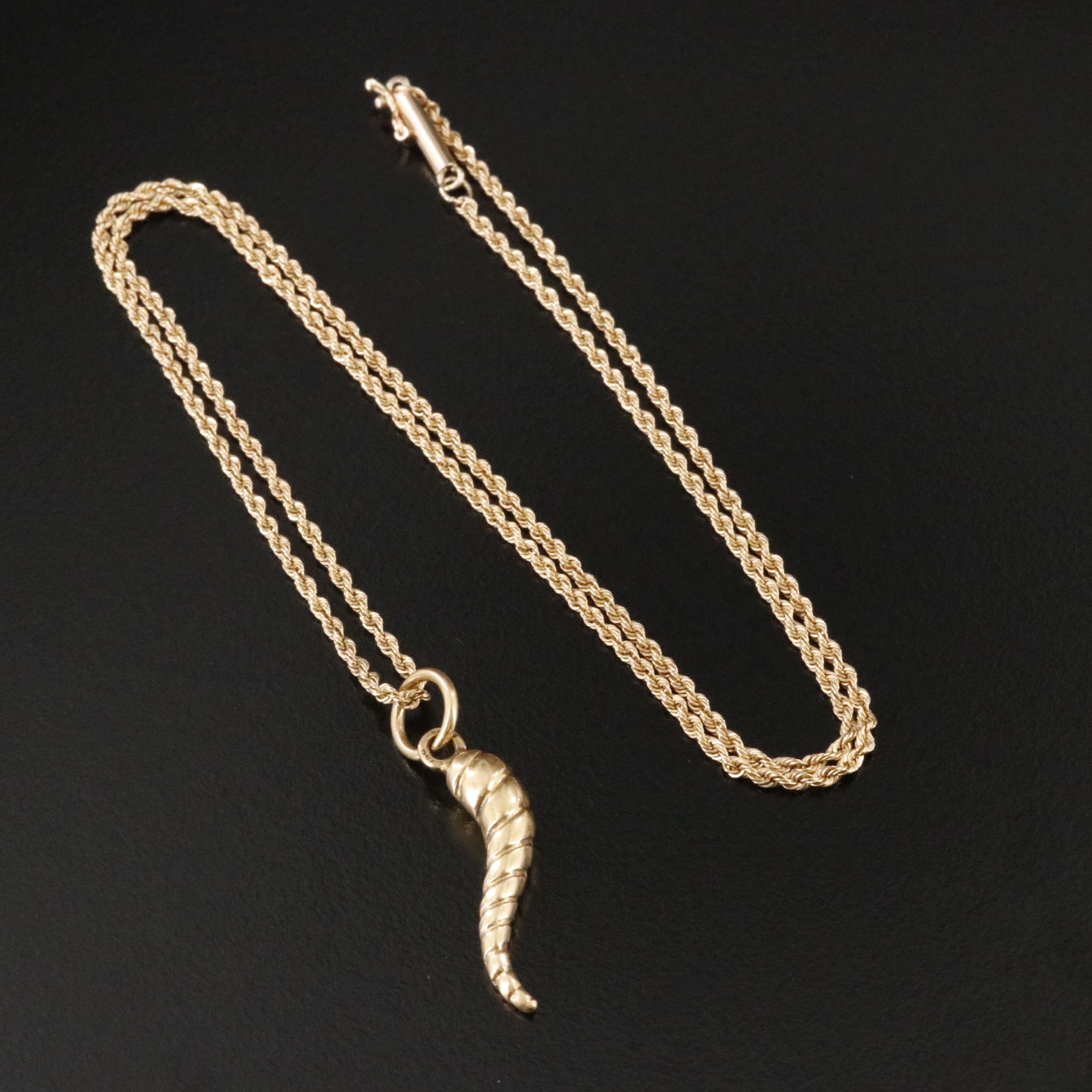 18K Cornicello Pendant on 14K Rope Chain Necklace