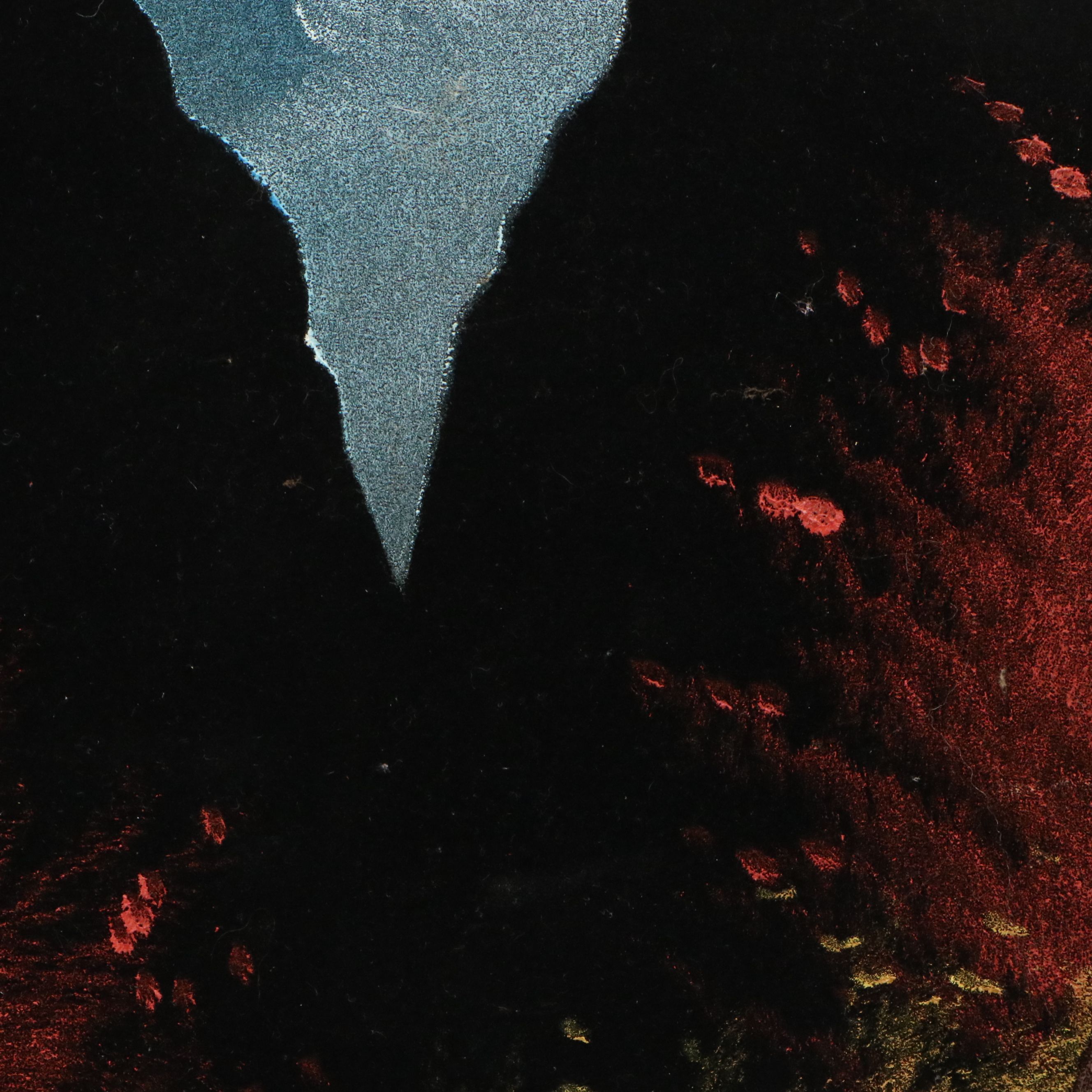 Velvet Painting of Bald Eagle in Flight, 21st Century