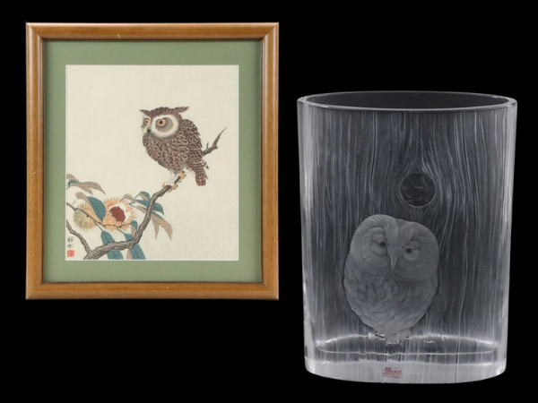 The Naturalist’s Cabinet