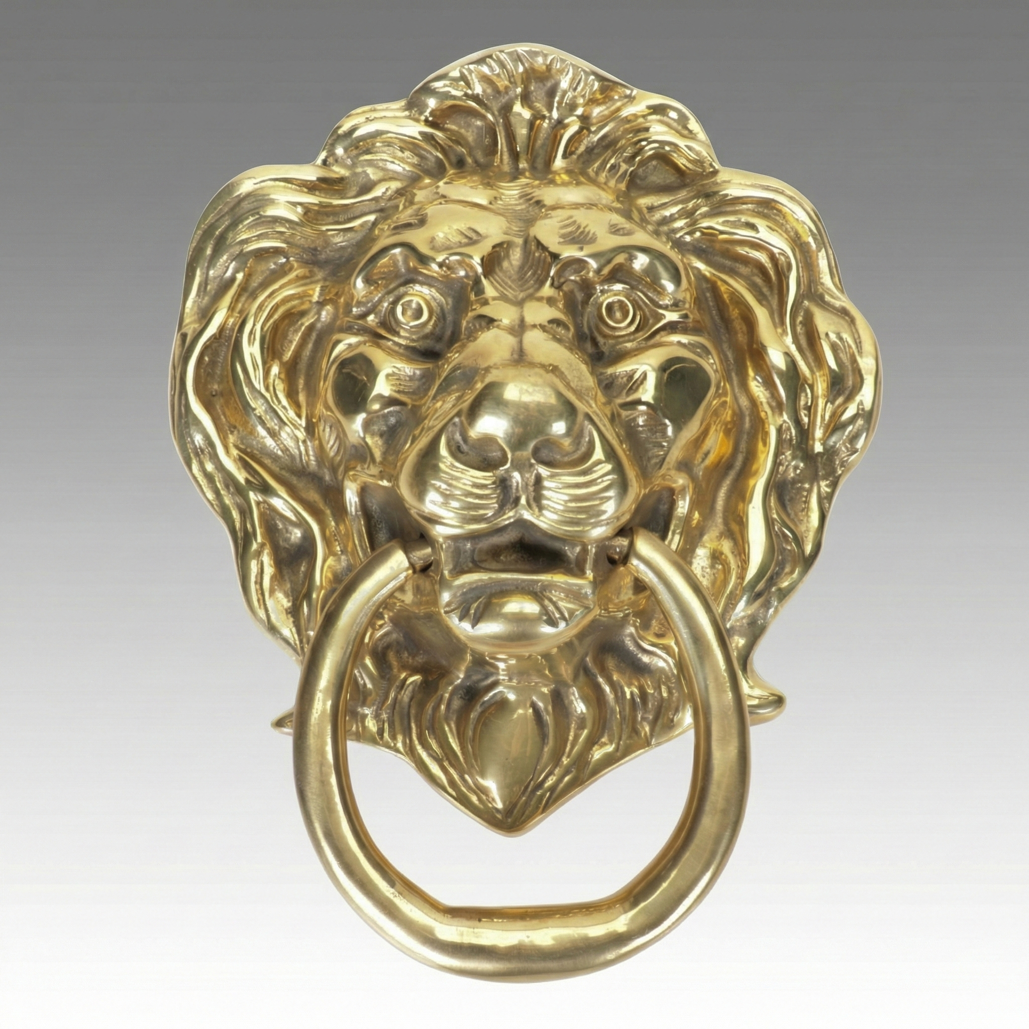 Polished Brass Lion's Head Door Knocker