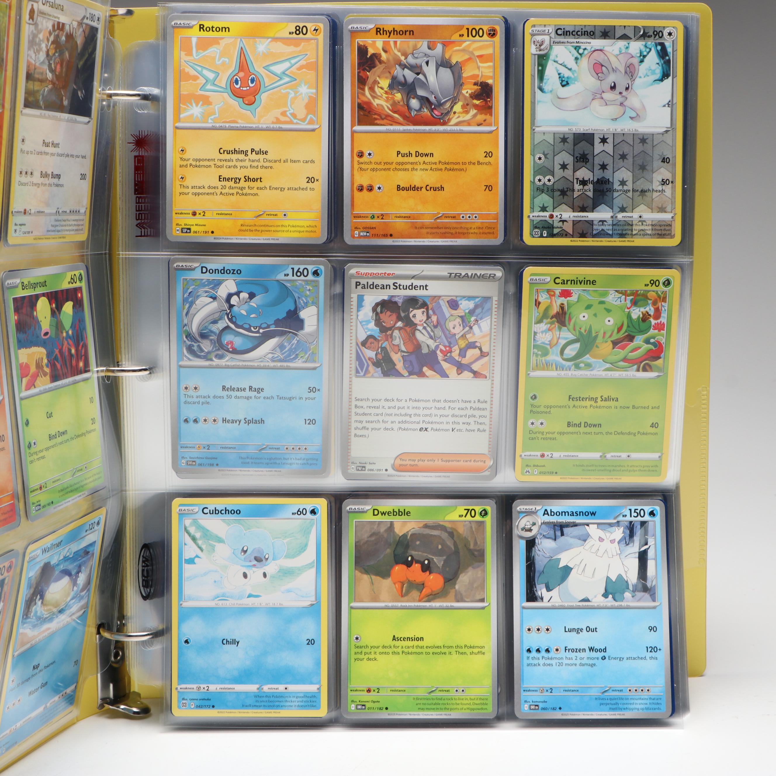 Pokémon Card Collection Featuring Holos and More, 2020s