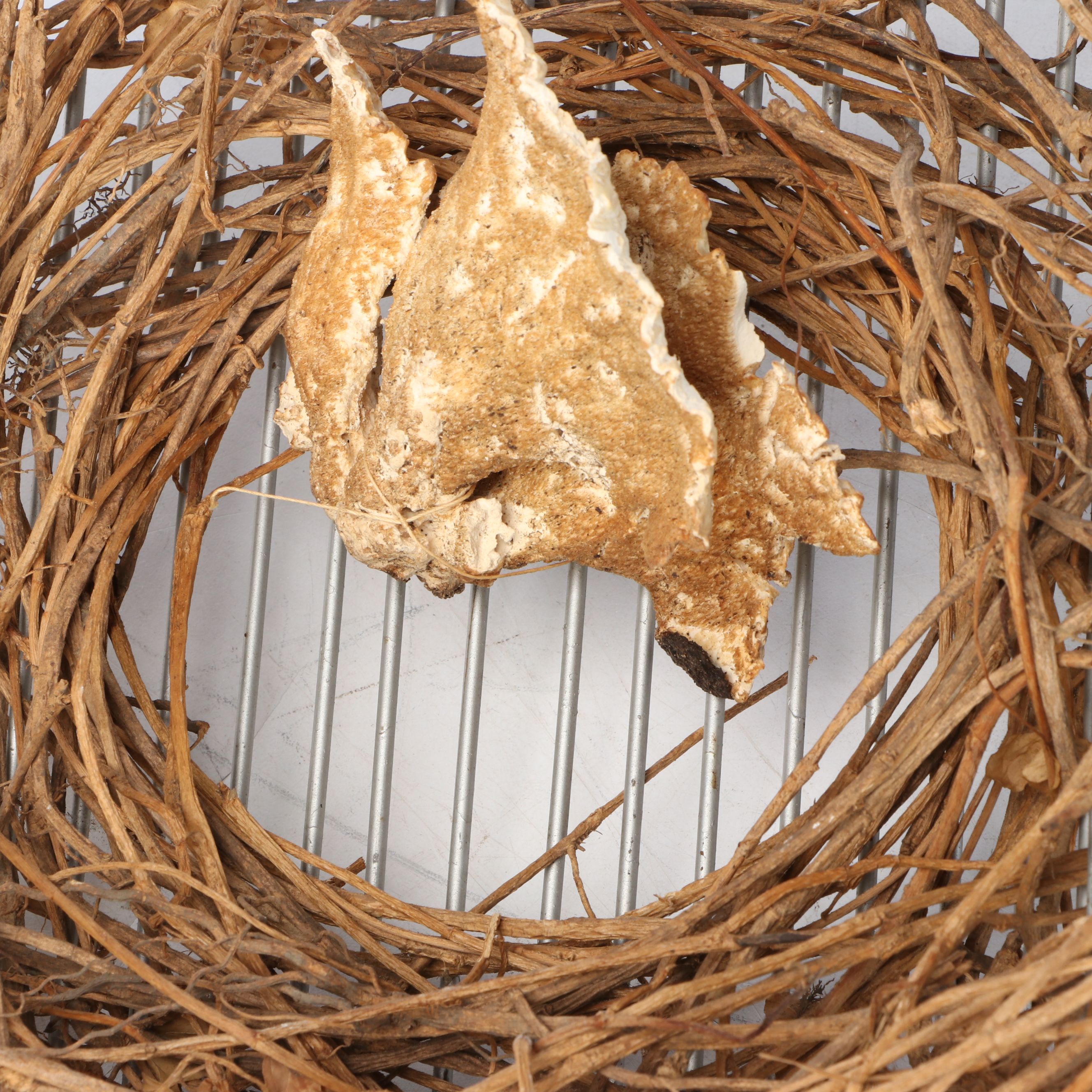 Anne Straus Folk Art Style Mixed Media Sculpture