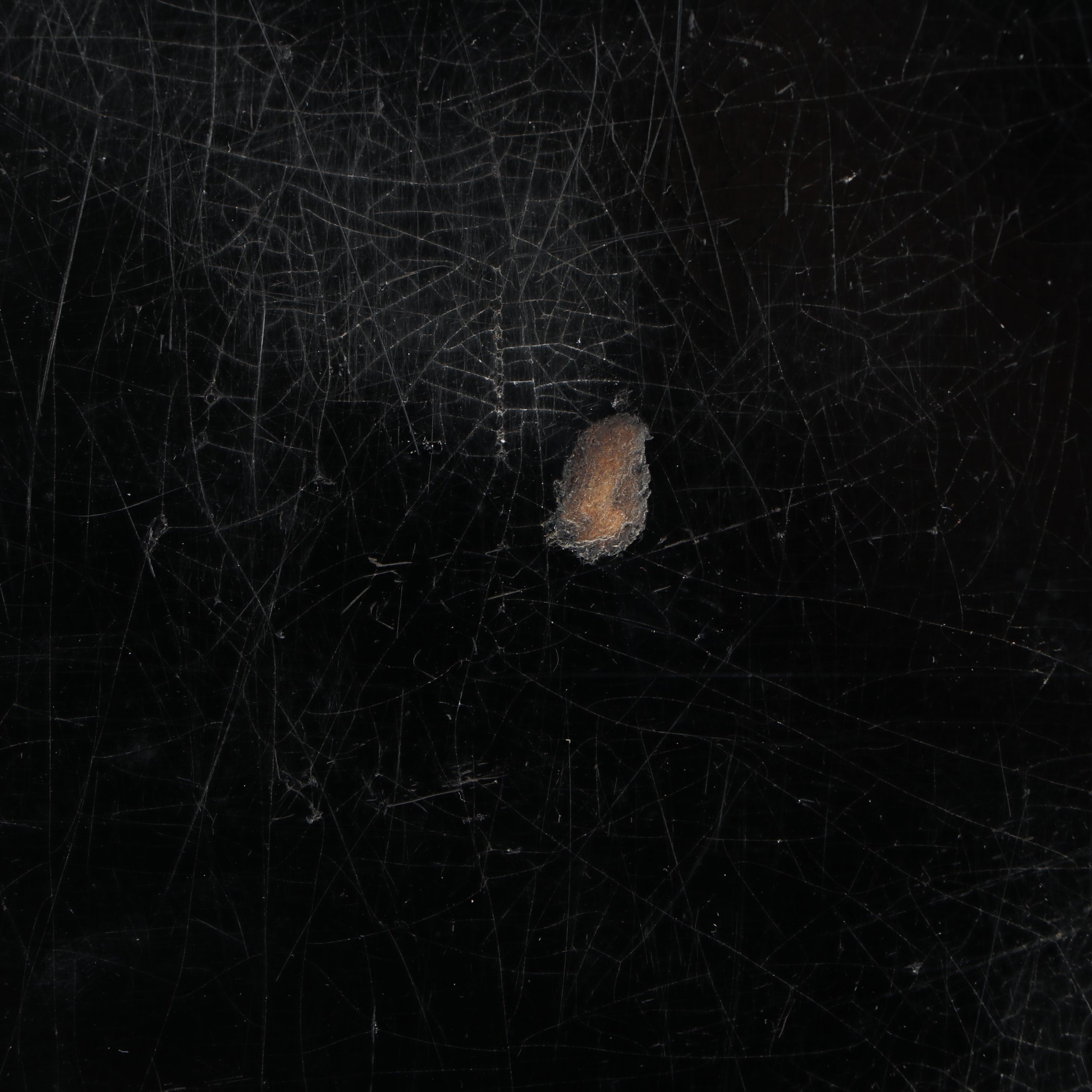 Victorian English Regency Style Lacquered Papier-Mâché Tray