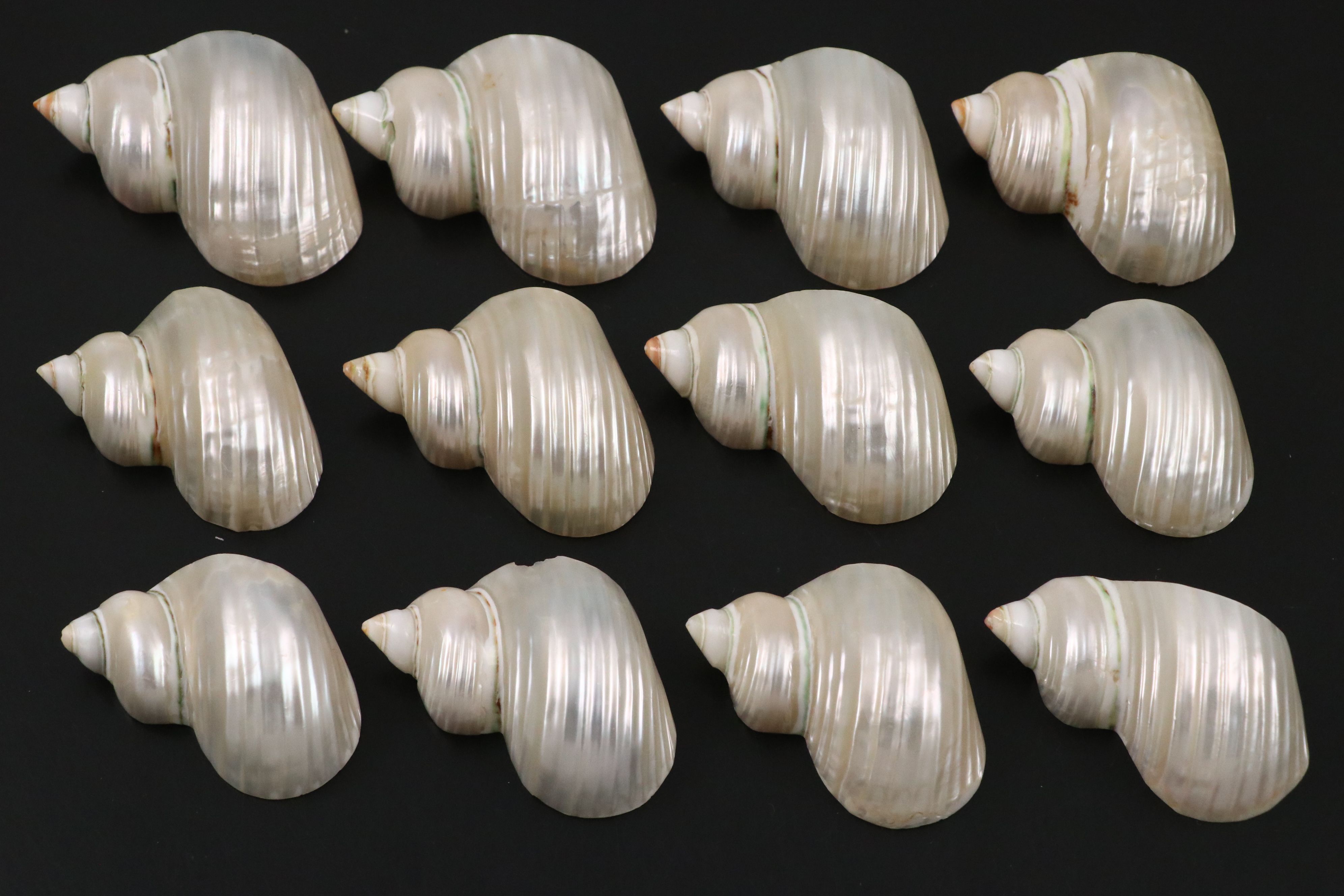 Caviar Spoons with Sterling Salt Shakers, Salt Cellars and More