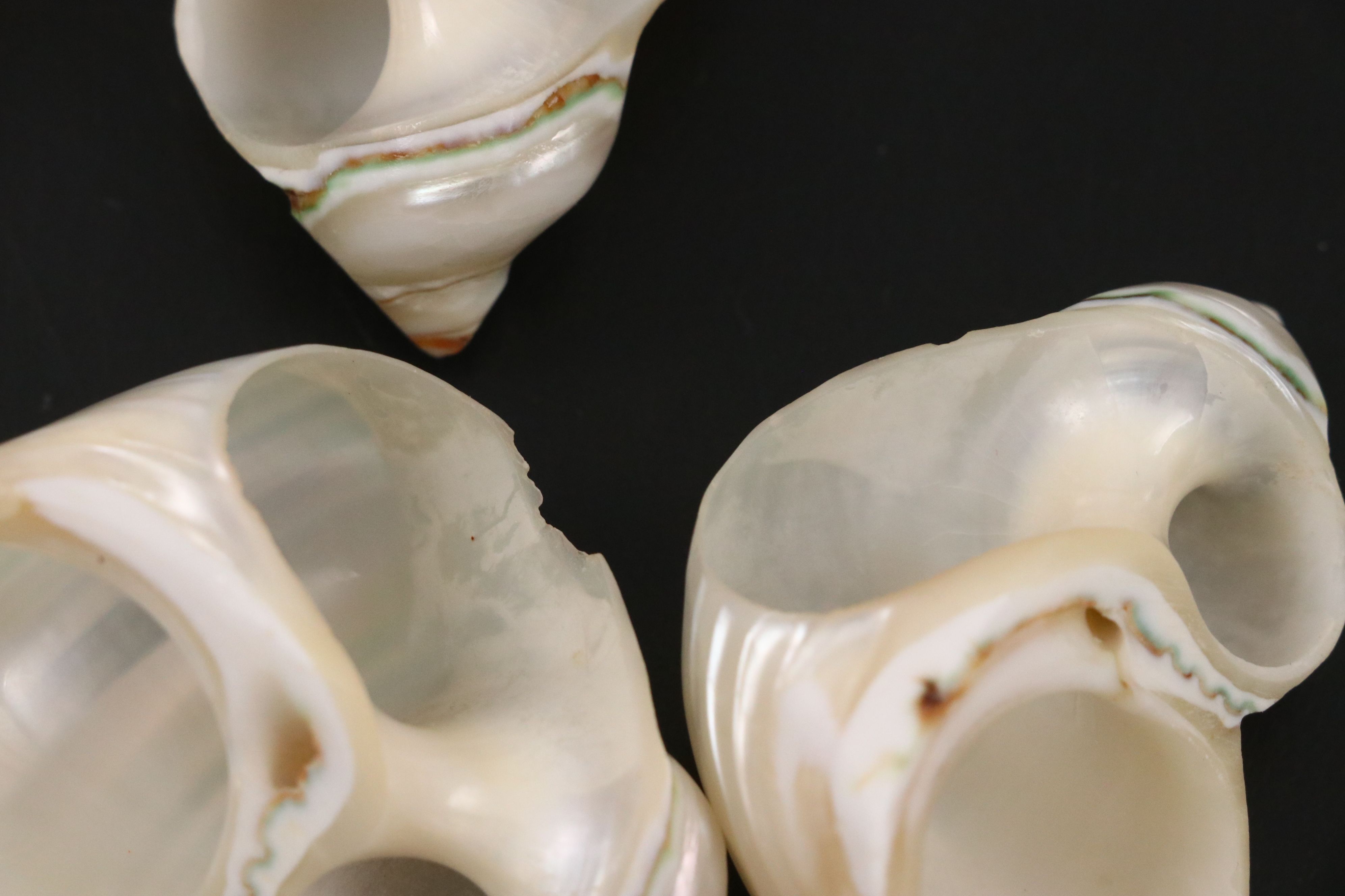 Caviar Spoons with Sterling Salt Shakers, Salt Cellars and More