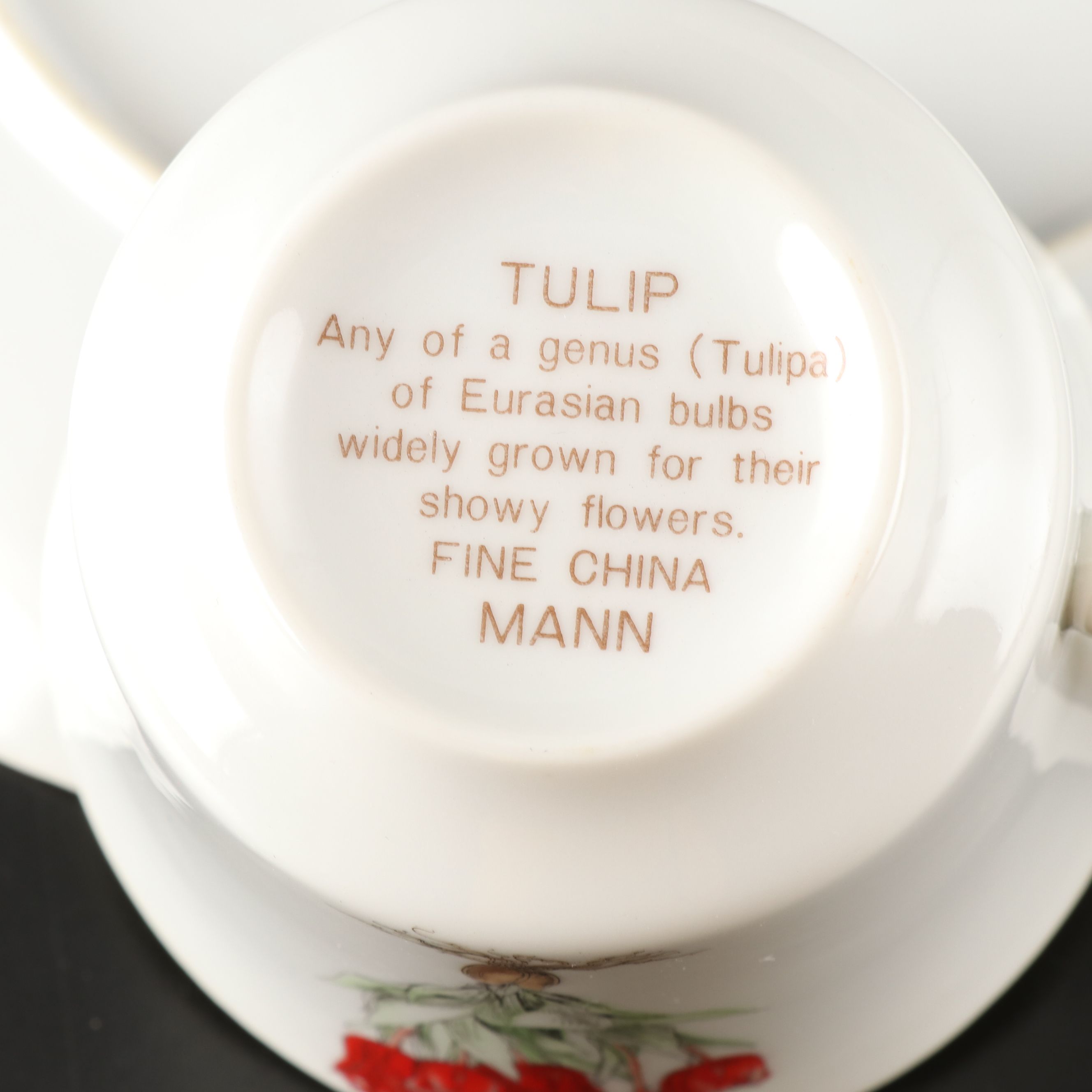 Mann "Tulip" Porcelain Plates and Teacups