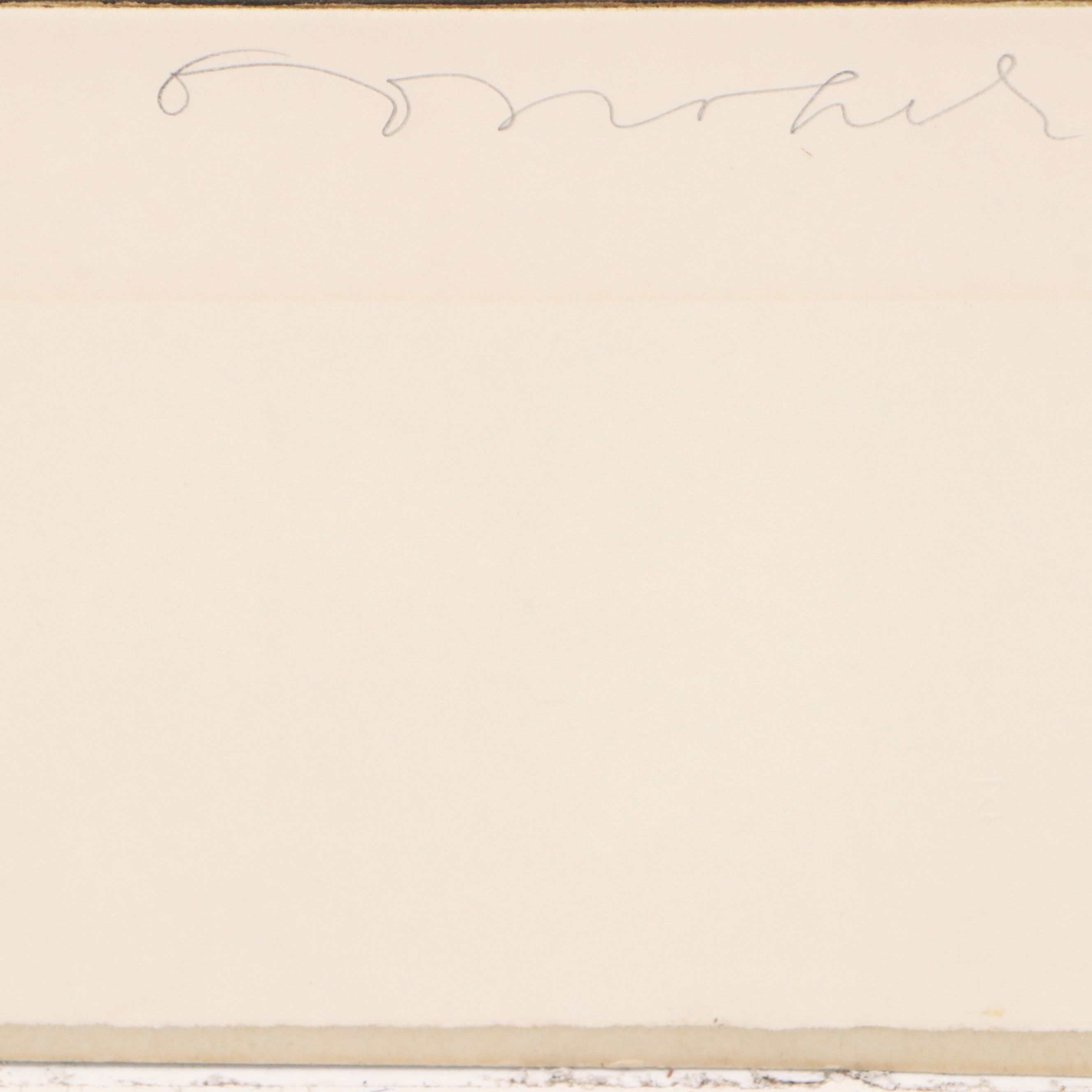 Tighe O'Donoghue/Ross Etching with Aquatint Diagram of Orchid, Late 20th Century