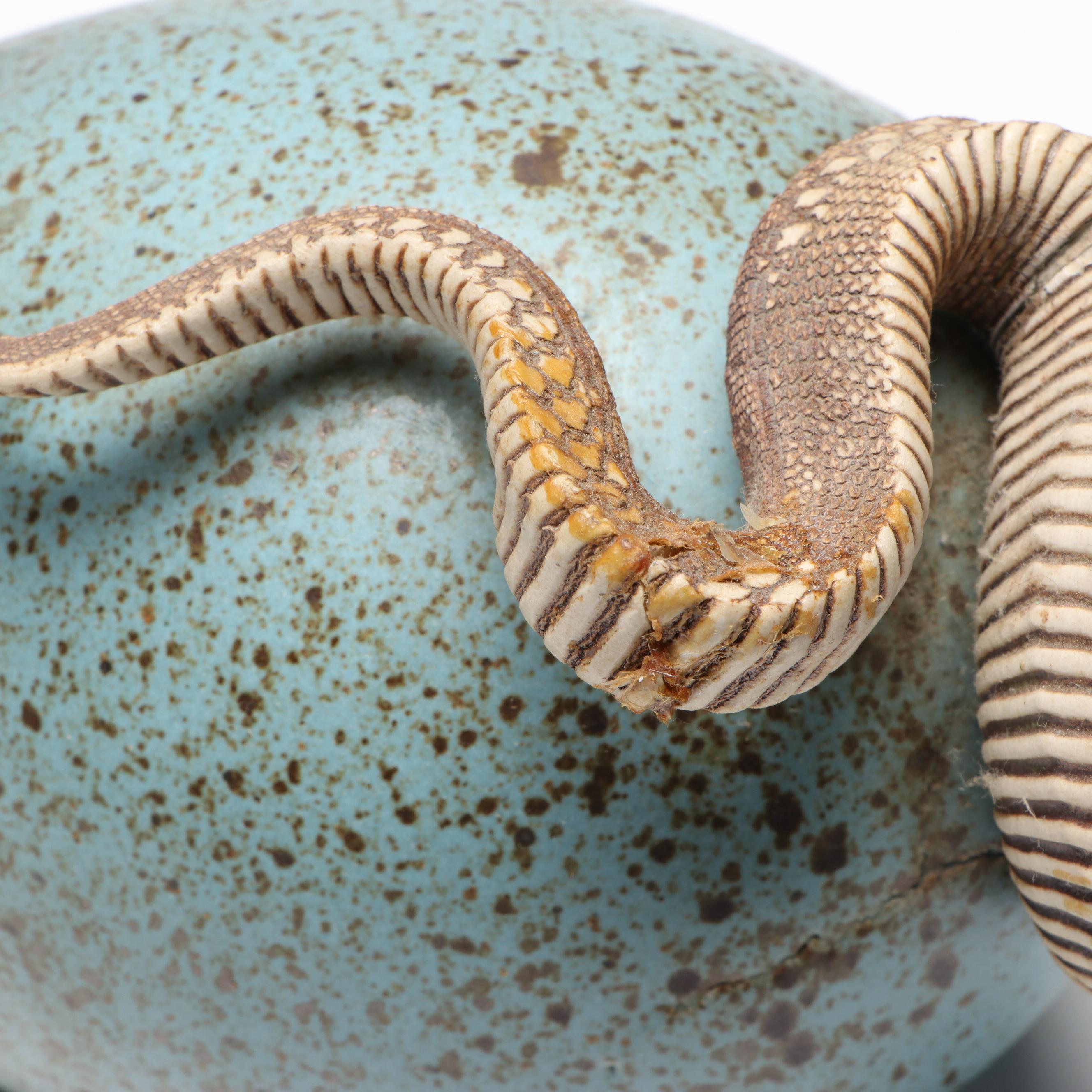 Dennis Thompson Signed "Hatchling" Ceramic Dragon Egg Sculpture