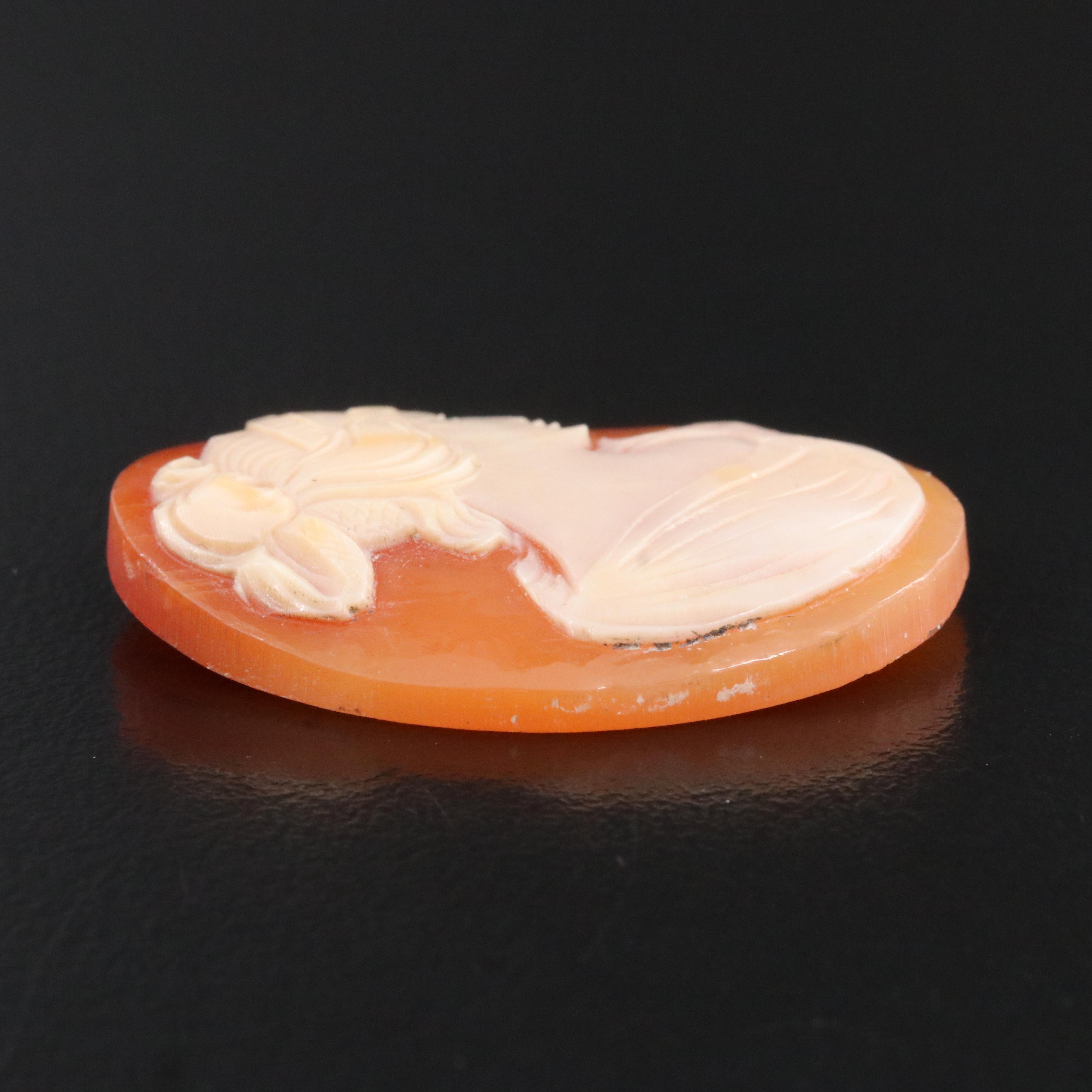 Loose Shell Cameo