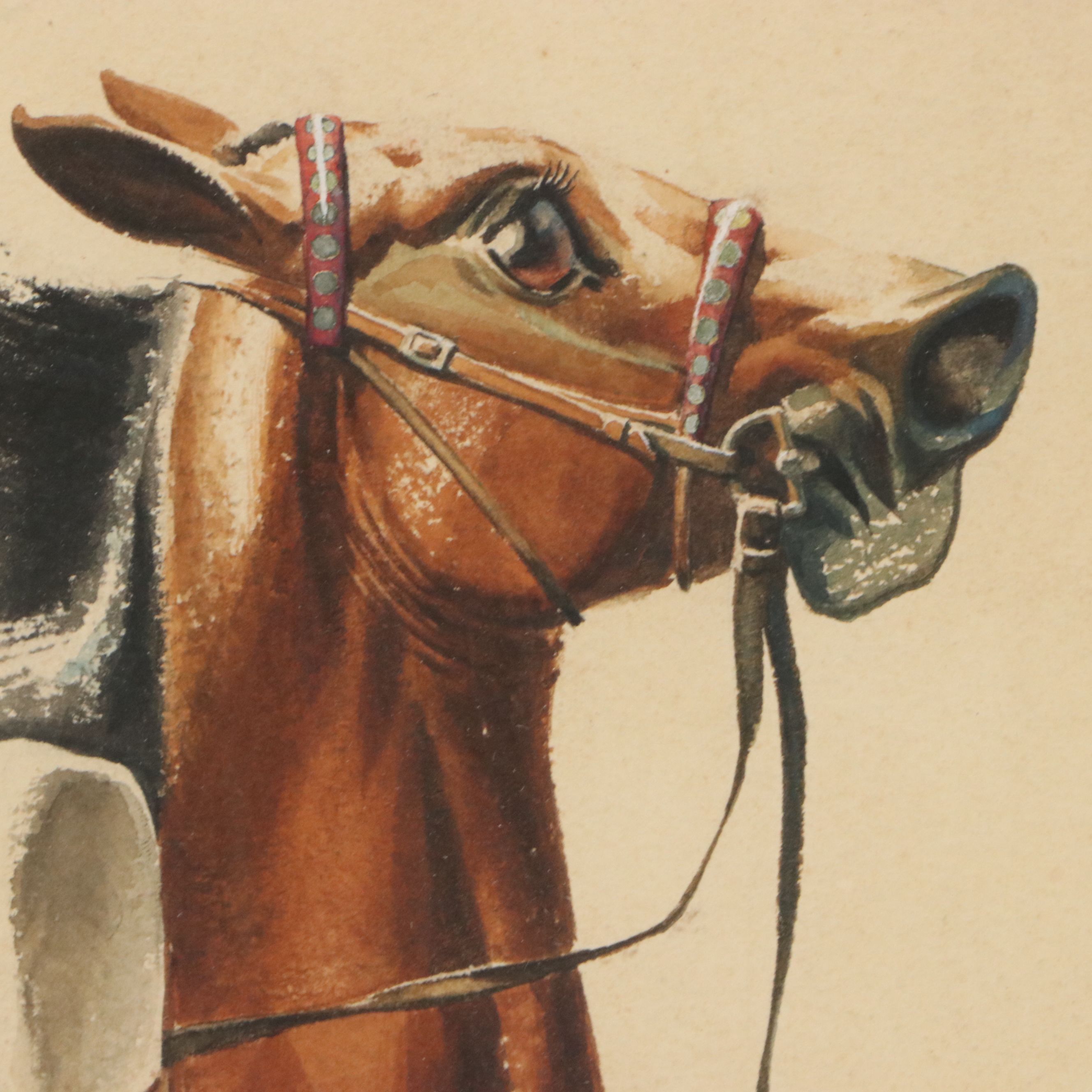 Caricature Style Horse and Jockey Watercolor Illustration