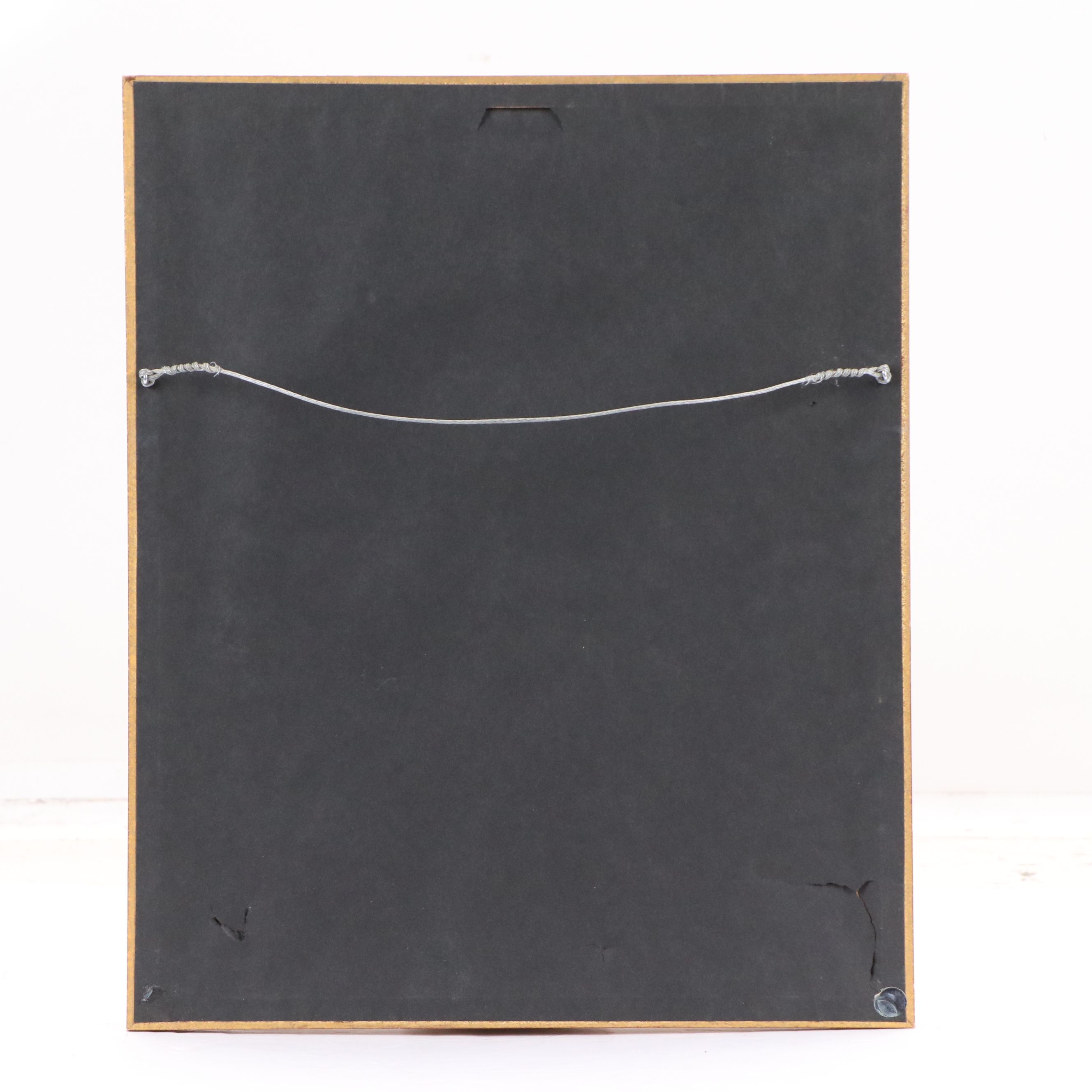 Hand-Colored Botanical Lithograph of Orchid, 19th Century