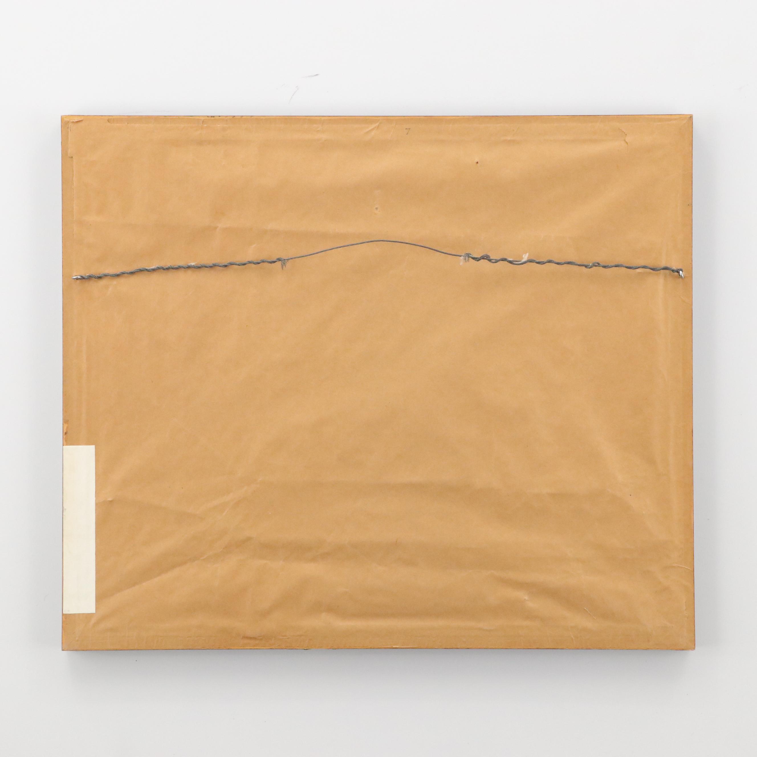 Antique Hand-Colored Lithographs "Spur-Winged Goose" and "Great Plover"