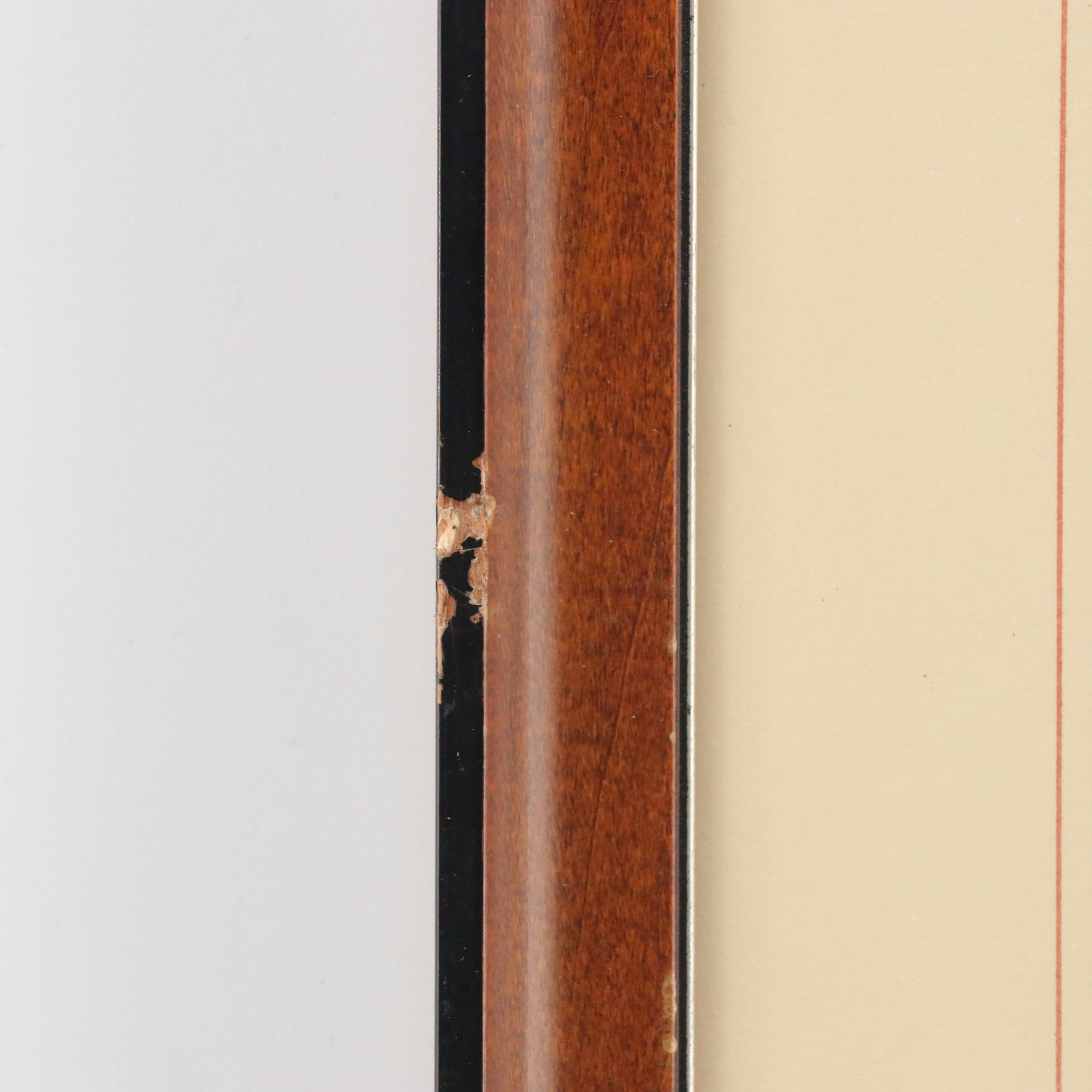 Antique Hand-Colored Lithographs "Spur-Winged Goose" and "Great Plover"