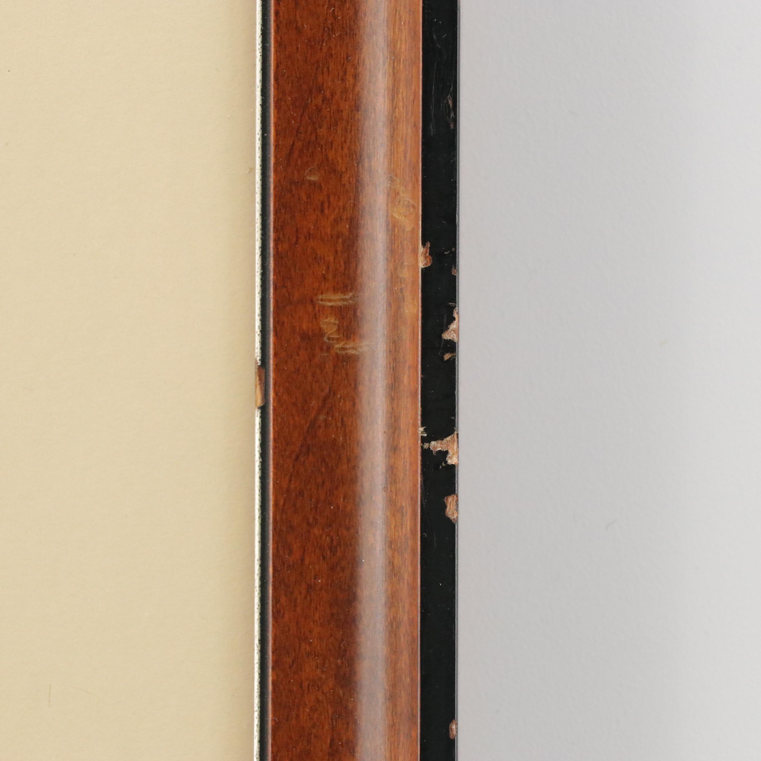 Antique Hand-Colored Lithographs "Spur-Winged Goose" and "Great Plover"