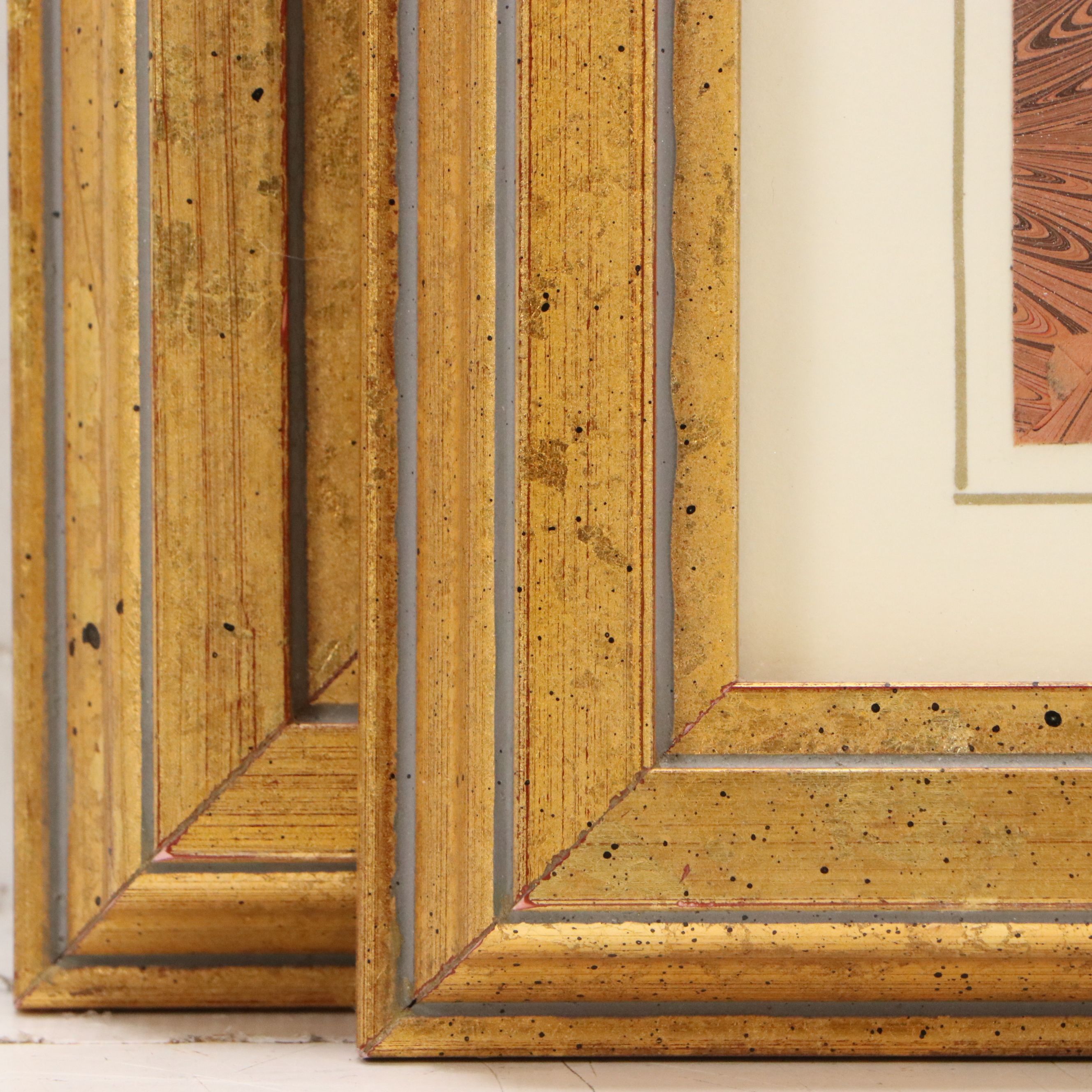 Hand-Colored Botanical Lithographs of Iris and Ixia Flowers, 19th Century