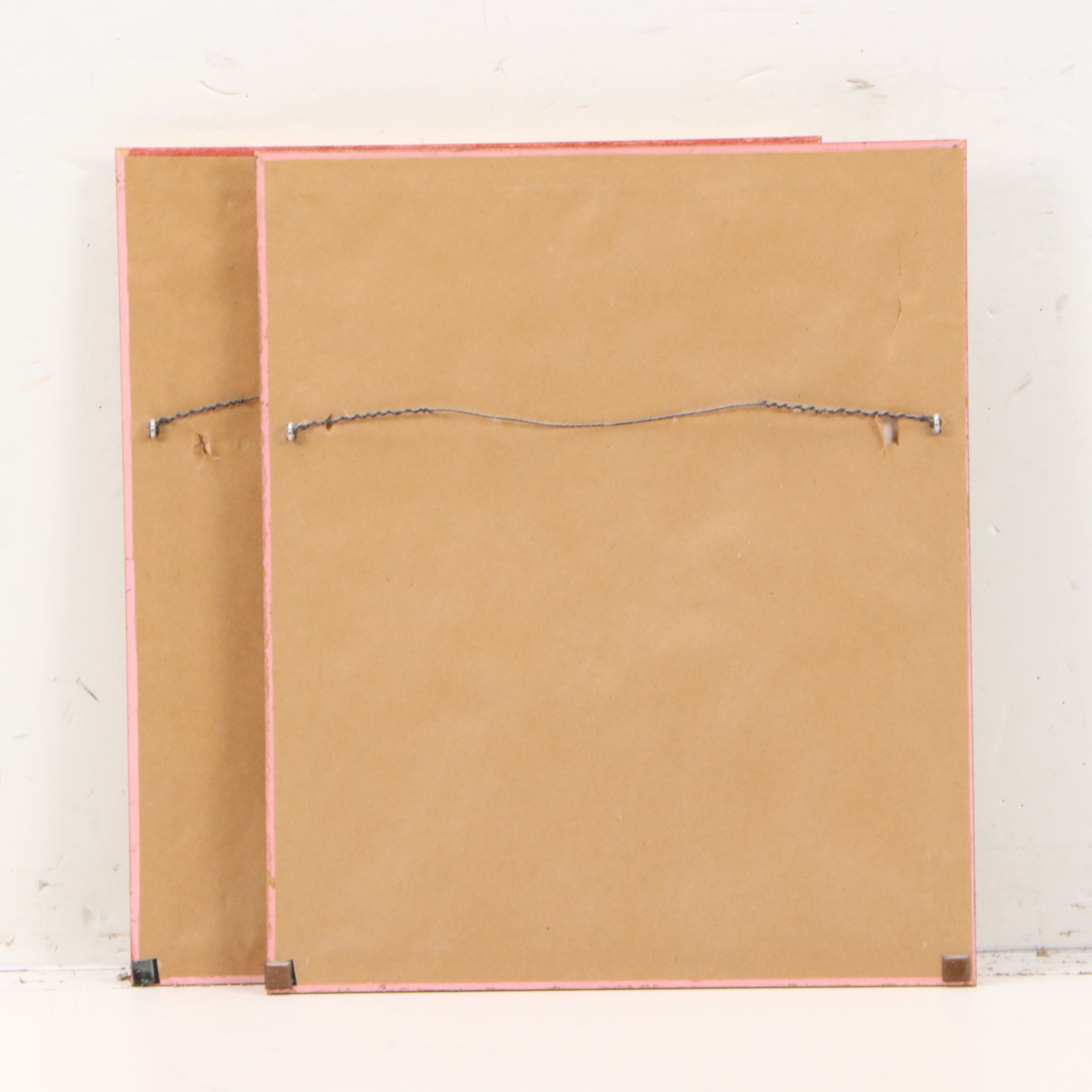 Hand-Colored Botanical Lithographs of Iris and Ixia Flowers, 19th Century