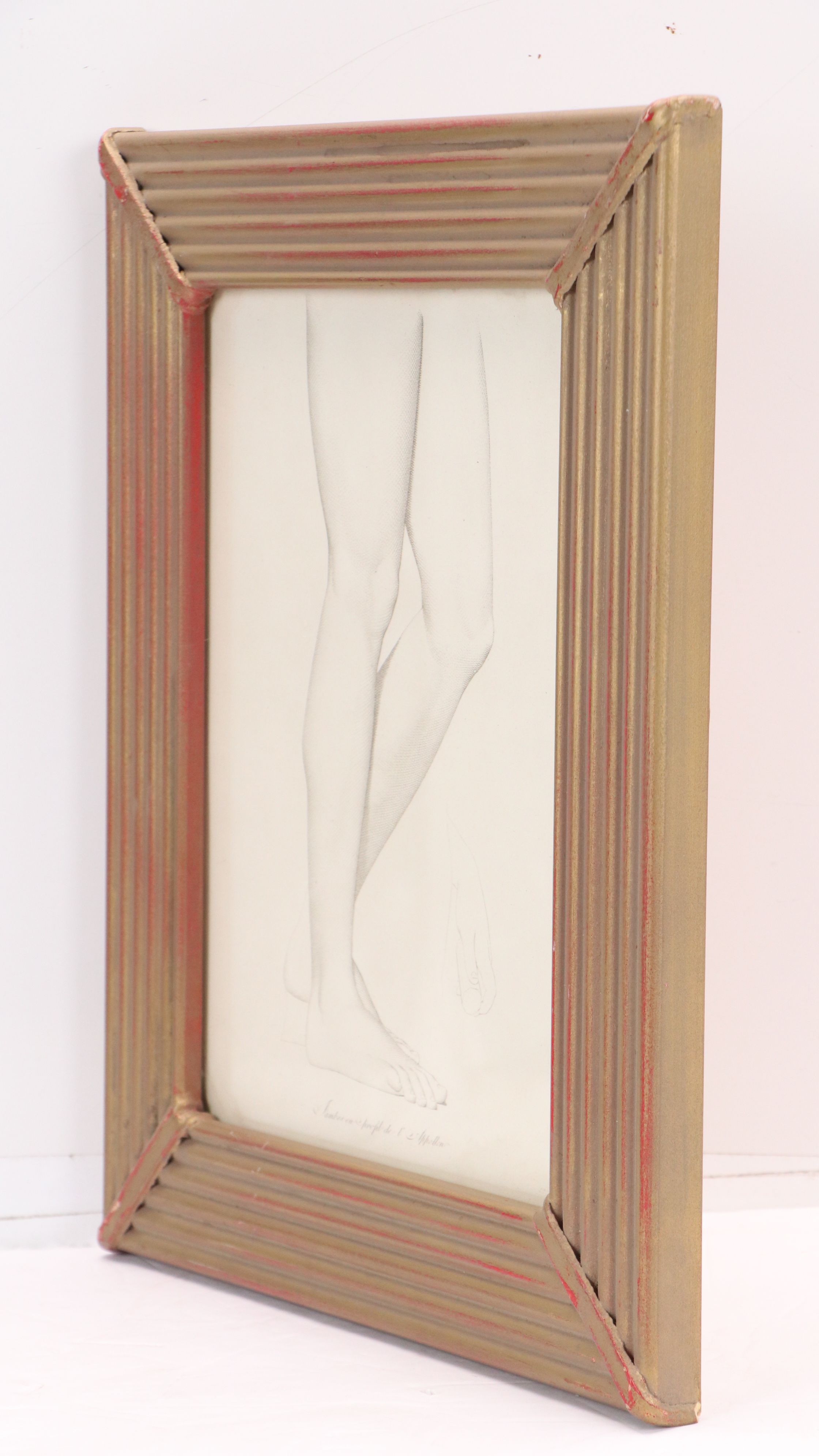 Anatomical Halftones "Gambes de l'Apollon"